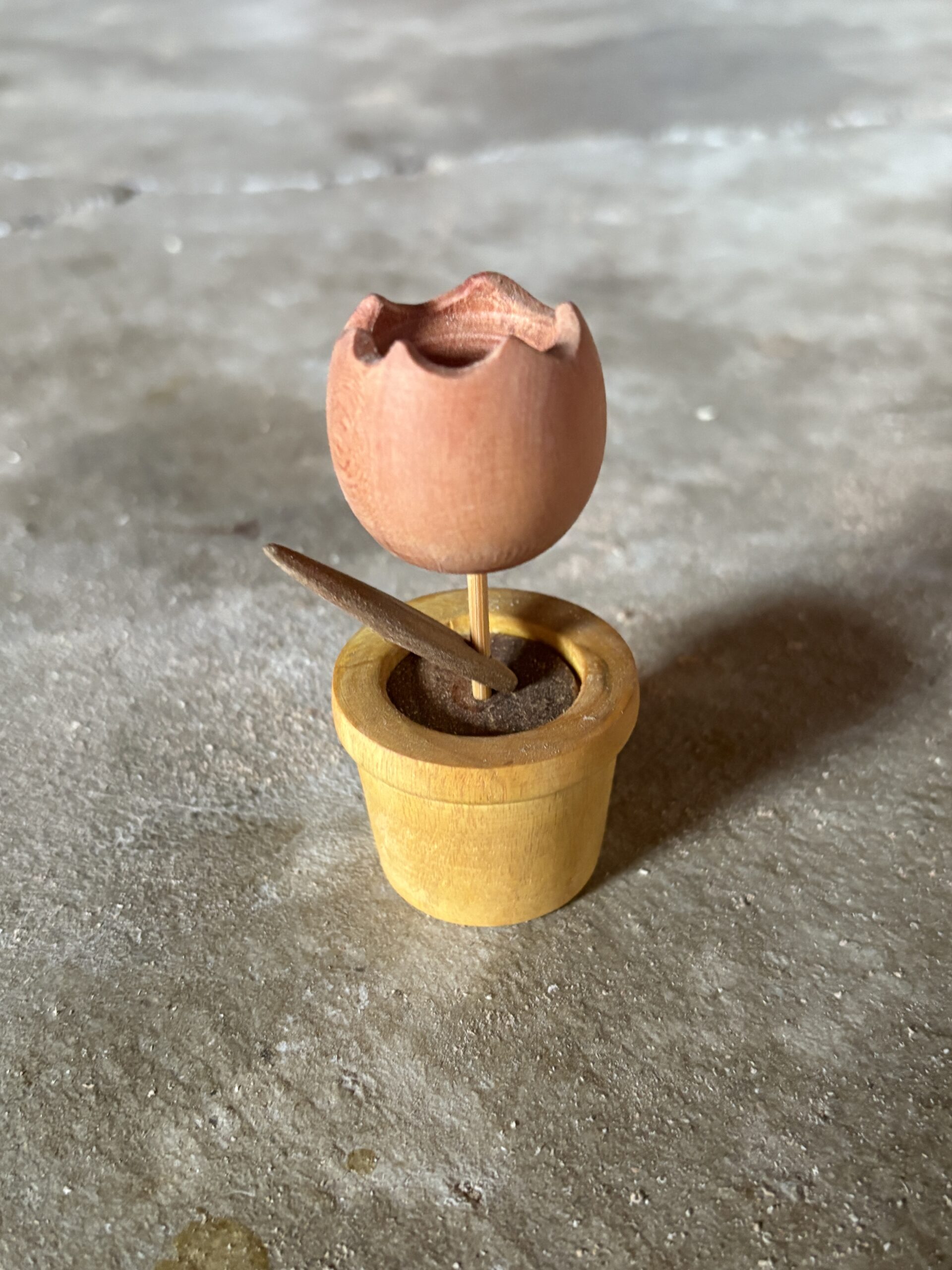 モッコクのハナ