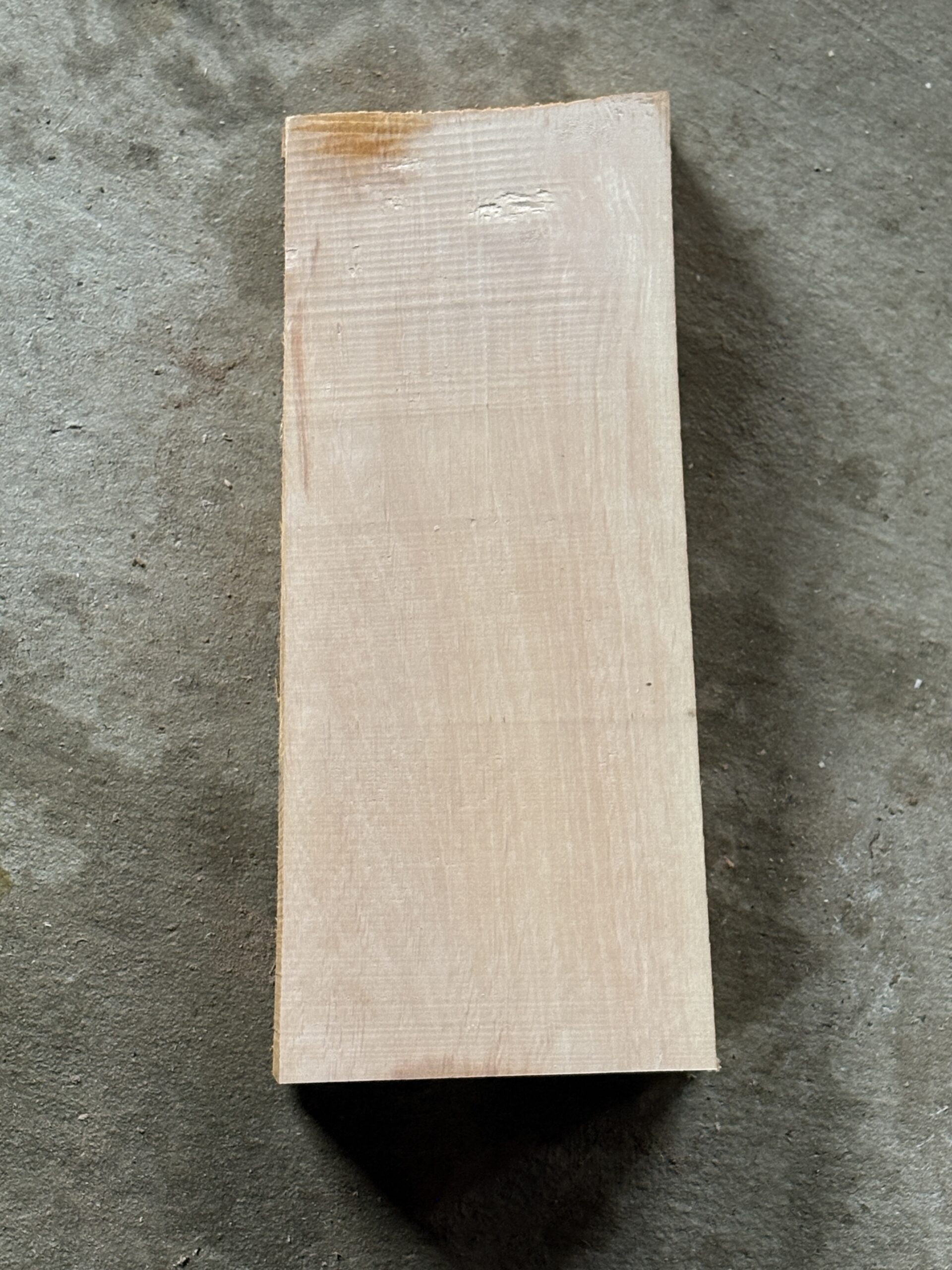 ハンノキ　どんぐりぼうや　木の図鑑｜くだらない道具屋