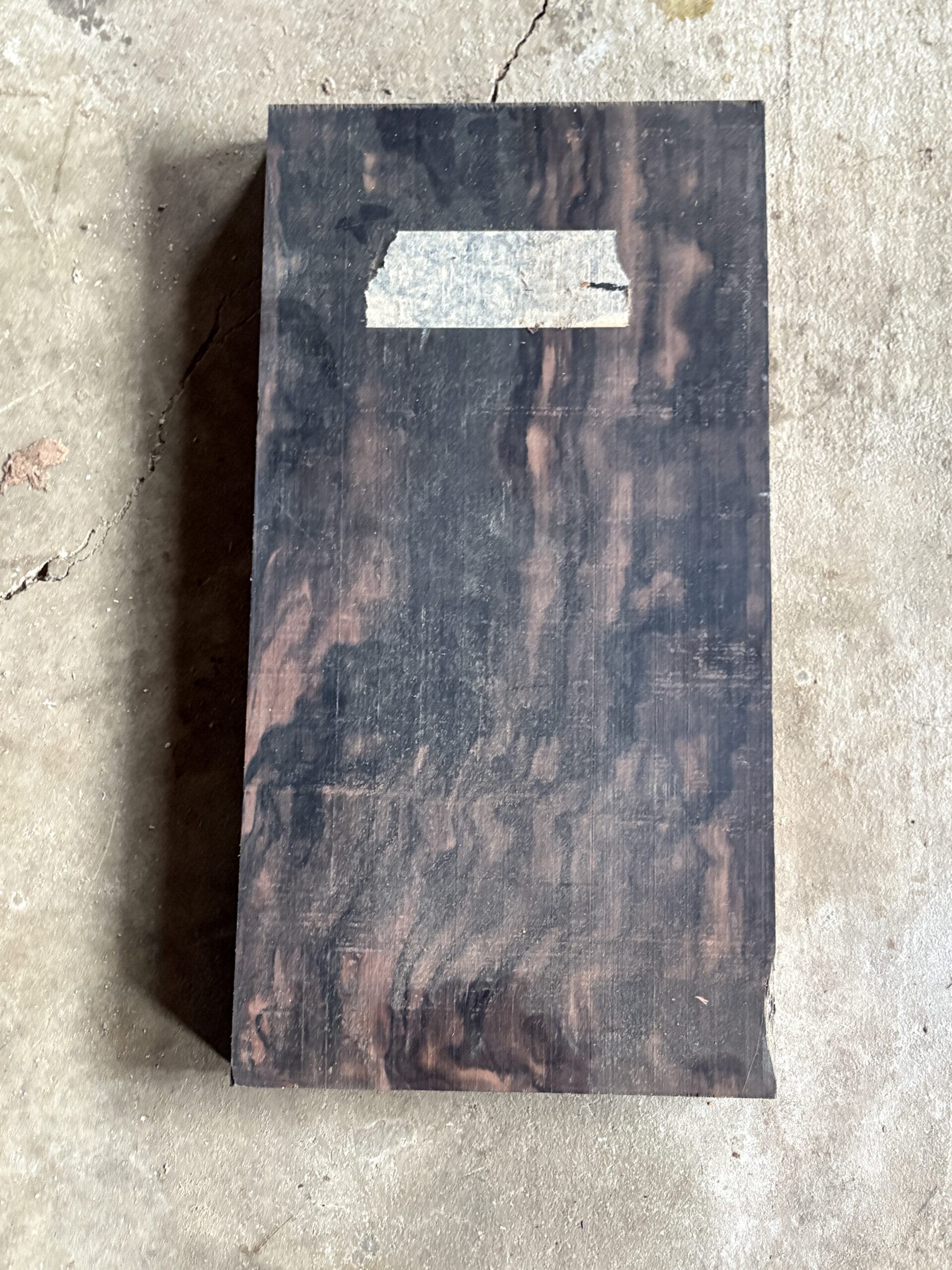 コクタン　どんぐりぼうや　木の図鑑｜くだらない道具屋