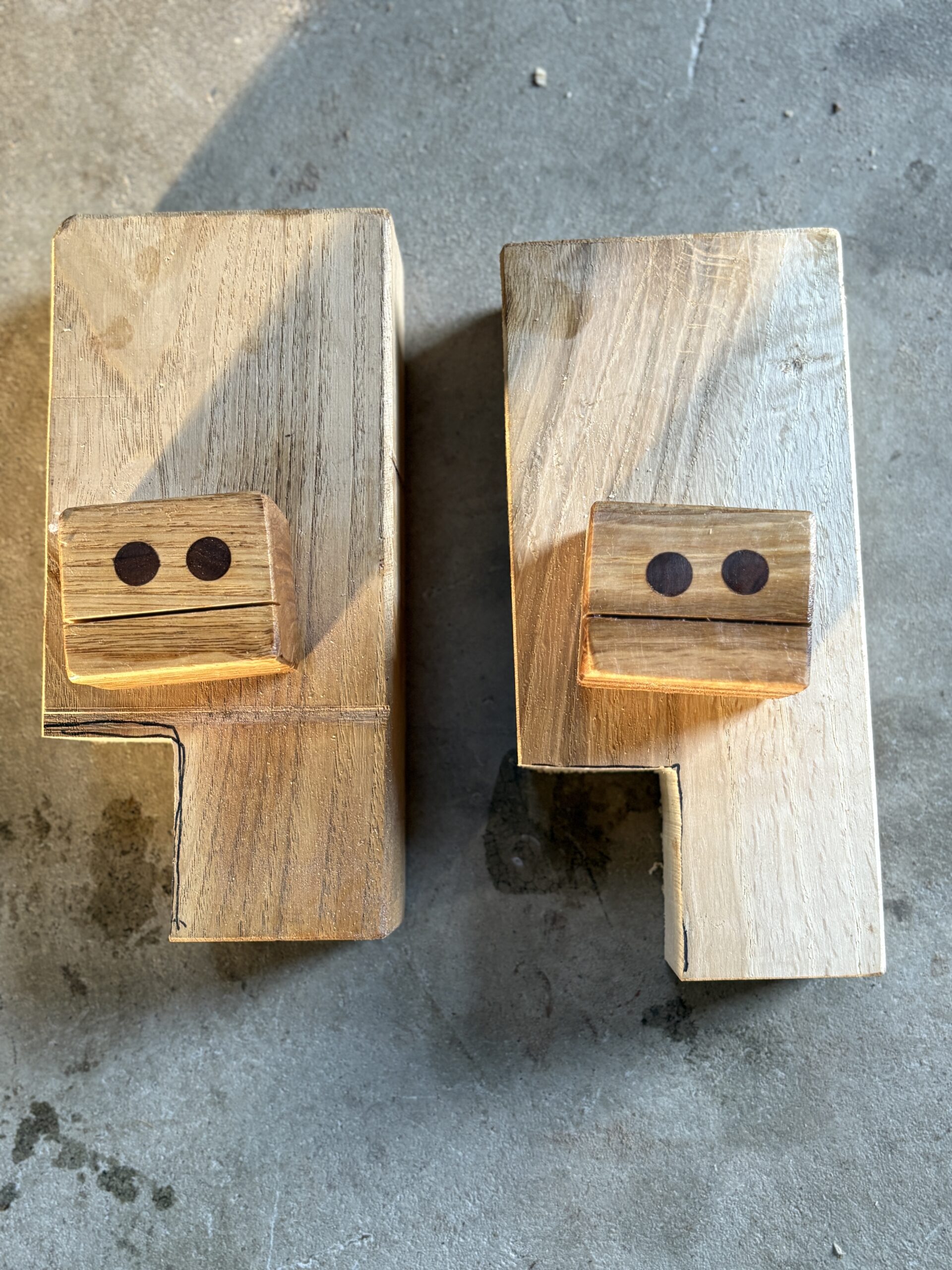 ミズナラ　コナラ