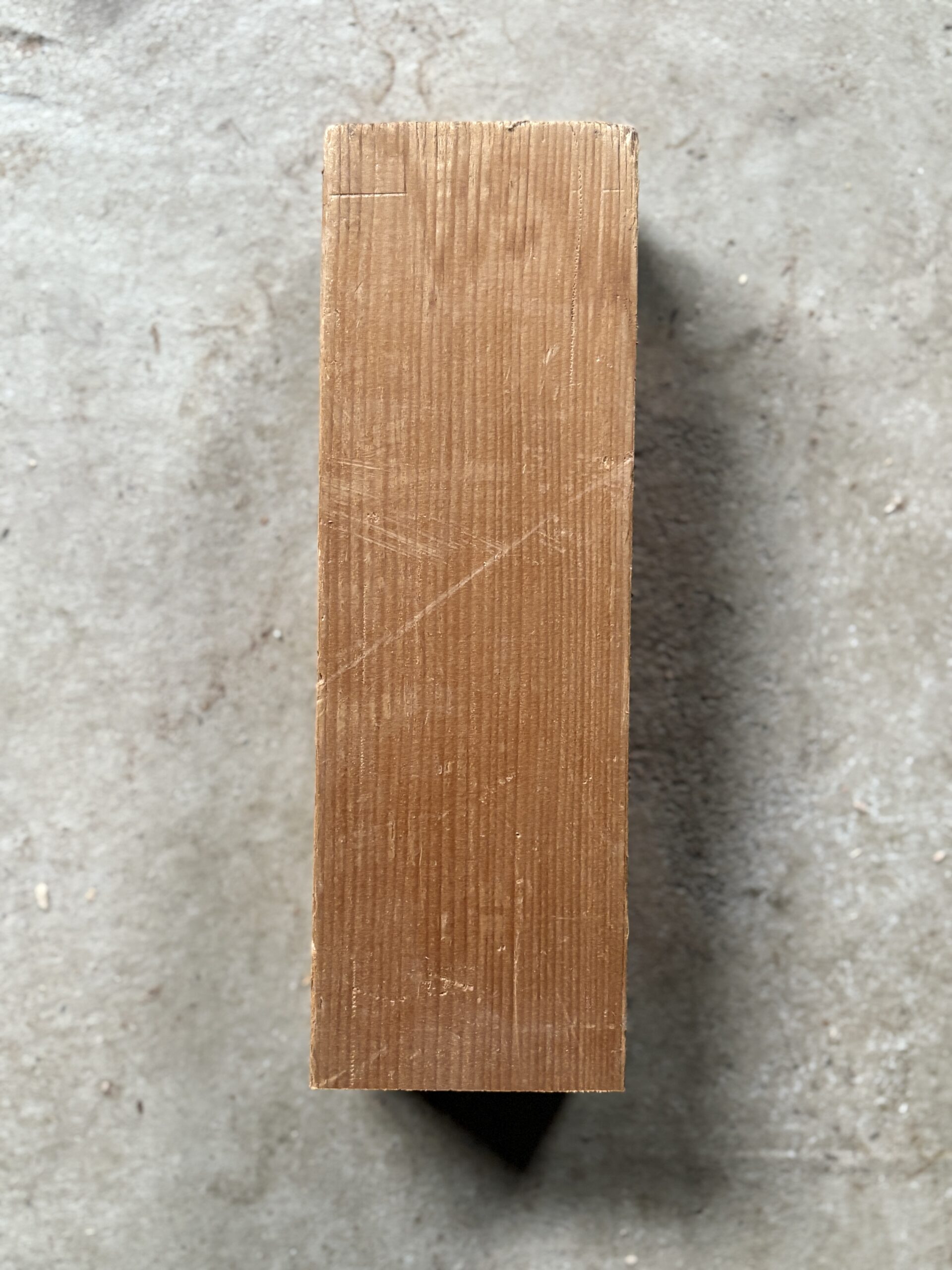 鼠子　どんぐりぼうや　木の図鑑｜くだらない道具屋