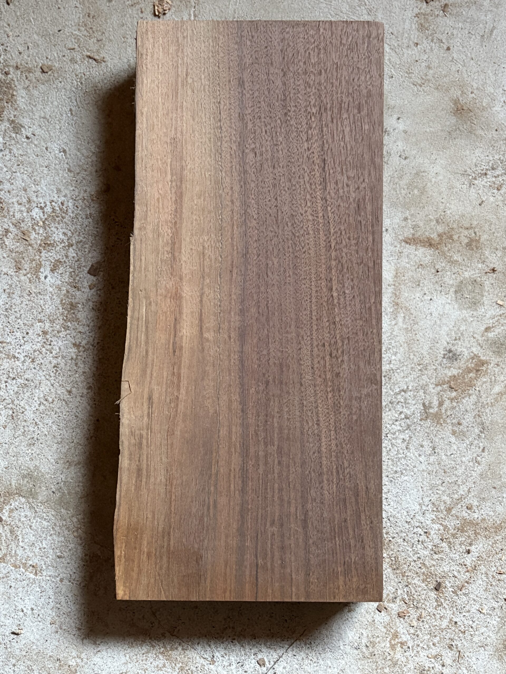 ウォールナット　どんぐりぼうや　木の図鑑｜くだらない道具屋