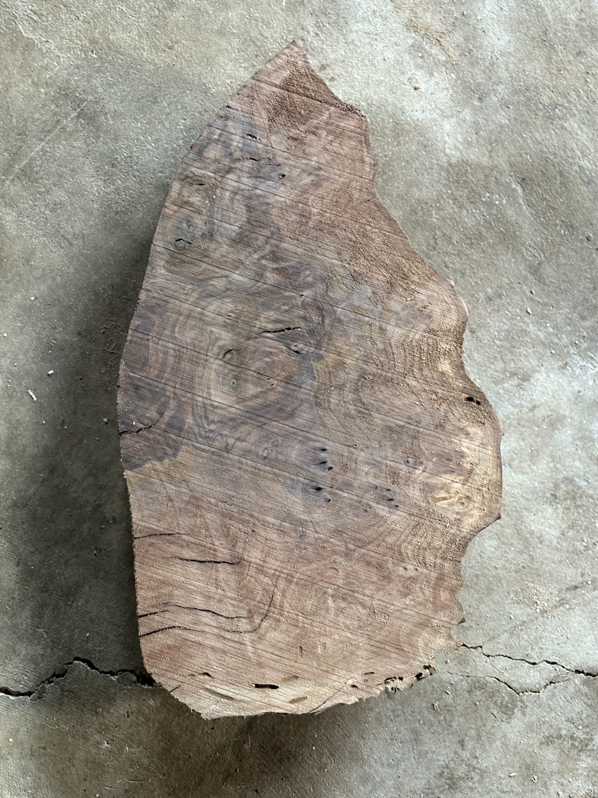 ウォールナット