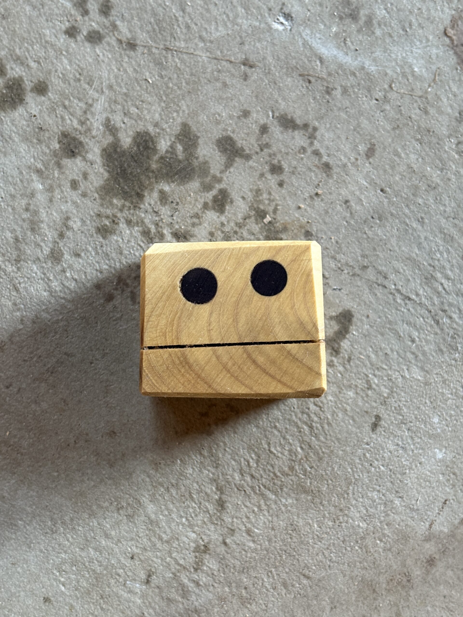 タイサンボクのロボット