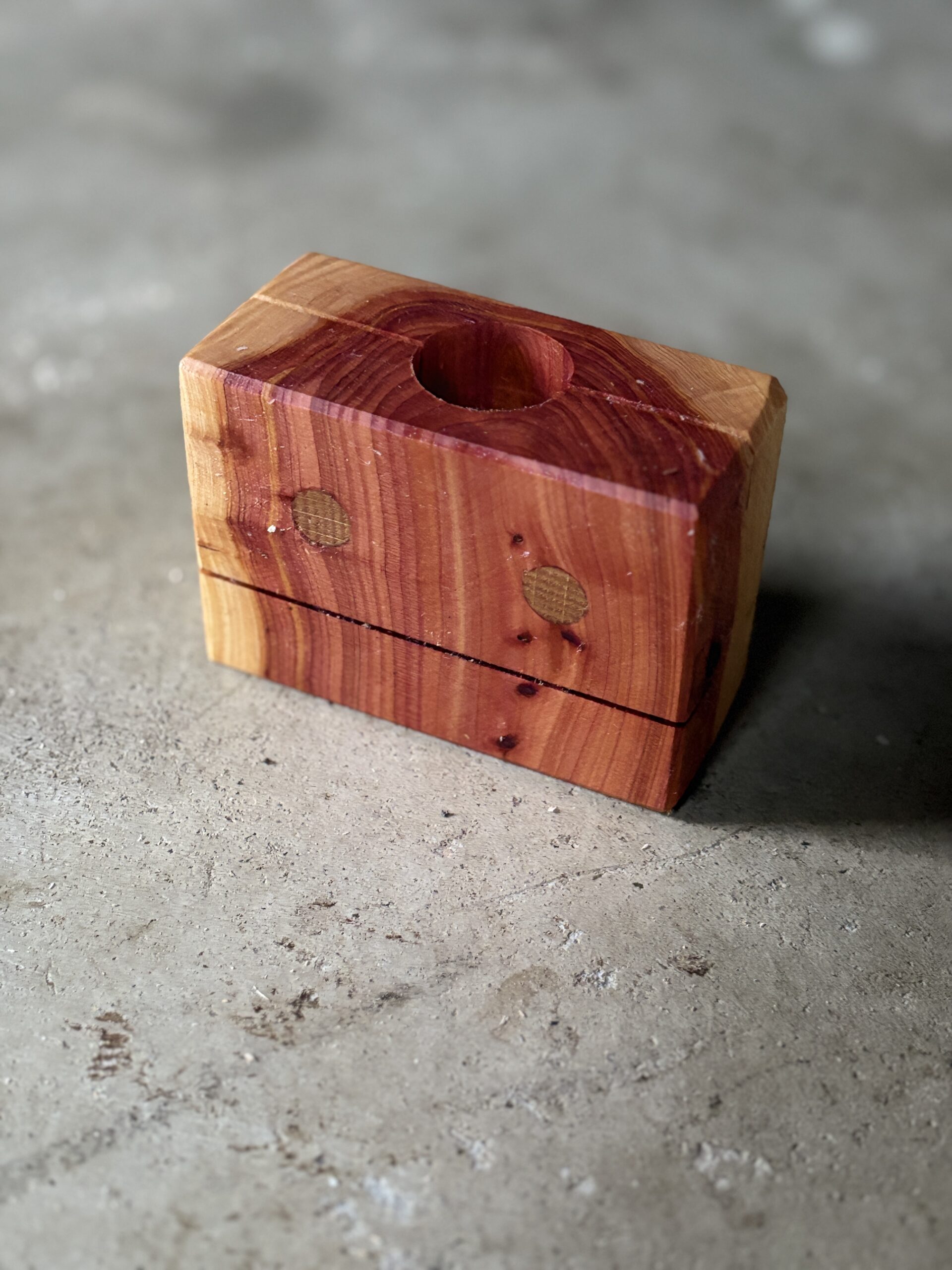 カイヅカイブキのロボット