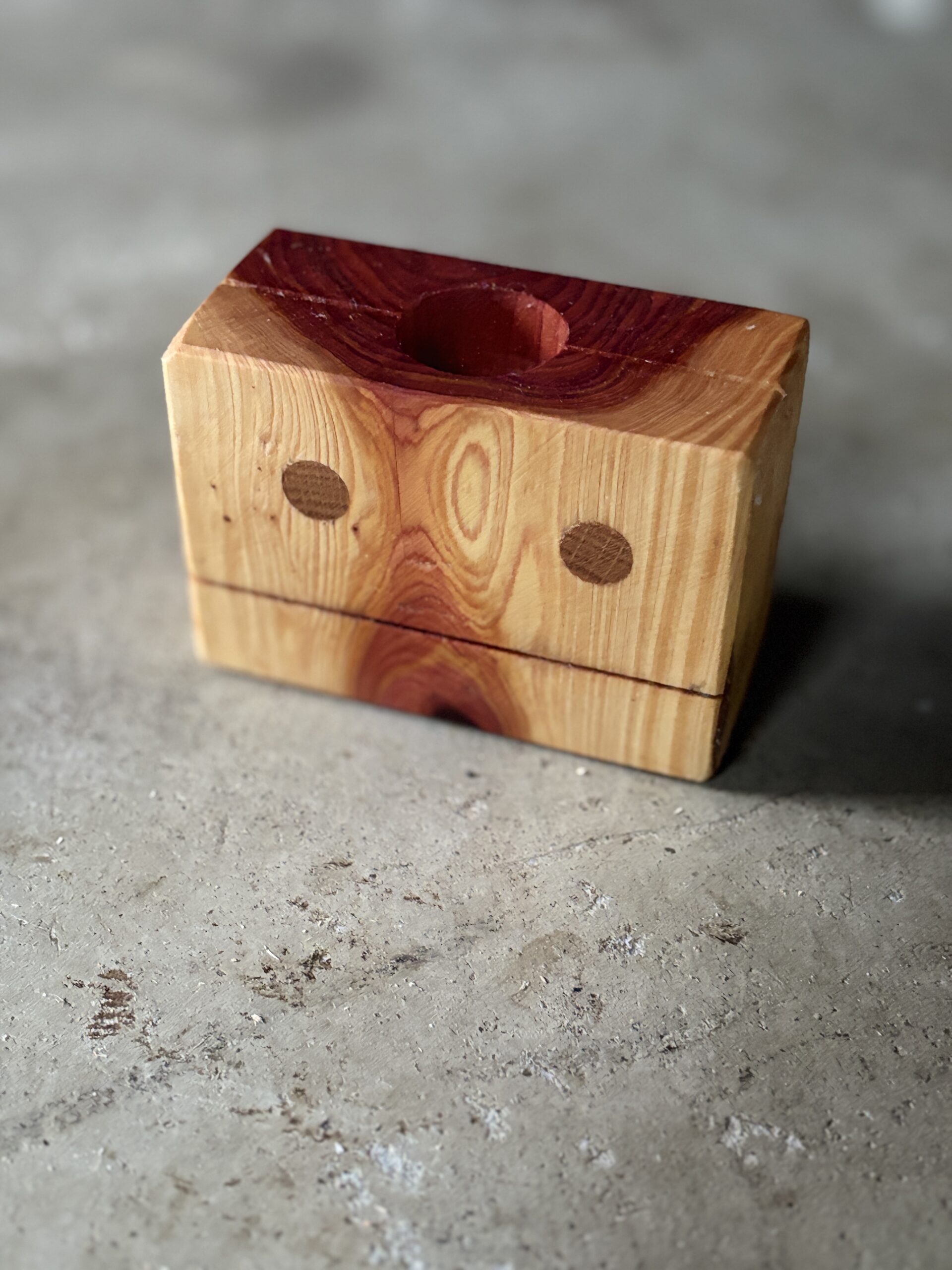 カイヅカイブキ