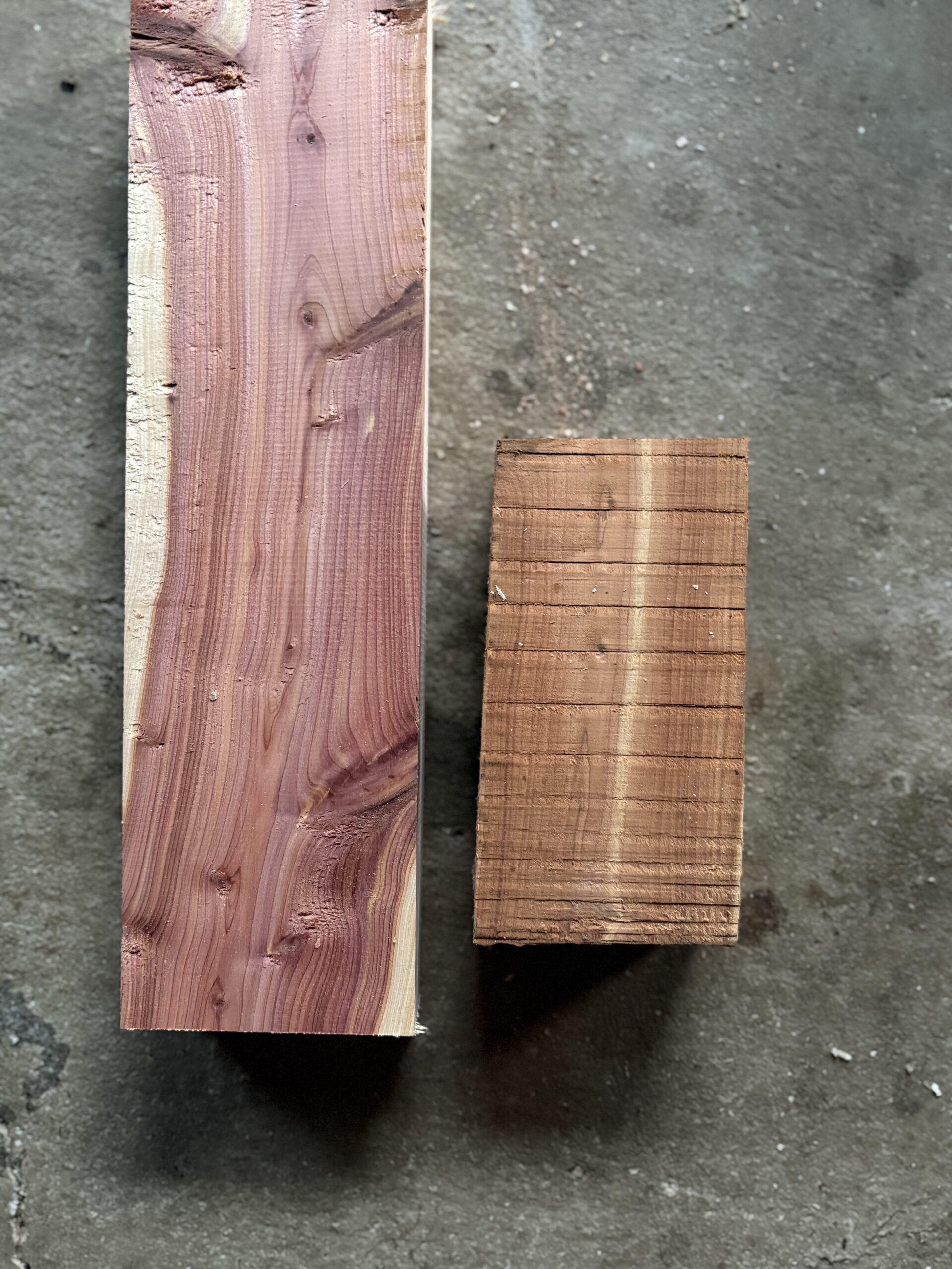 カイヅカイブキ