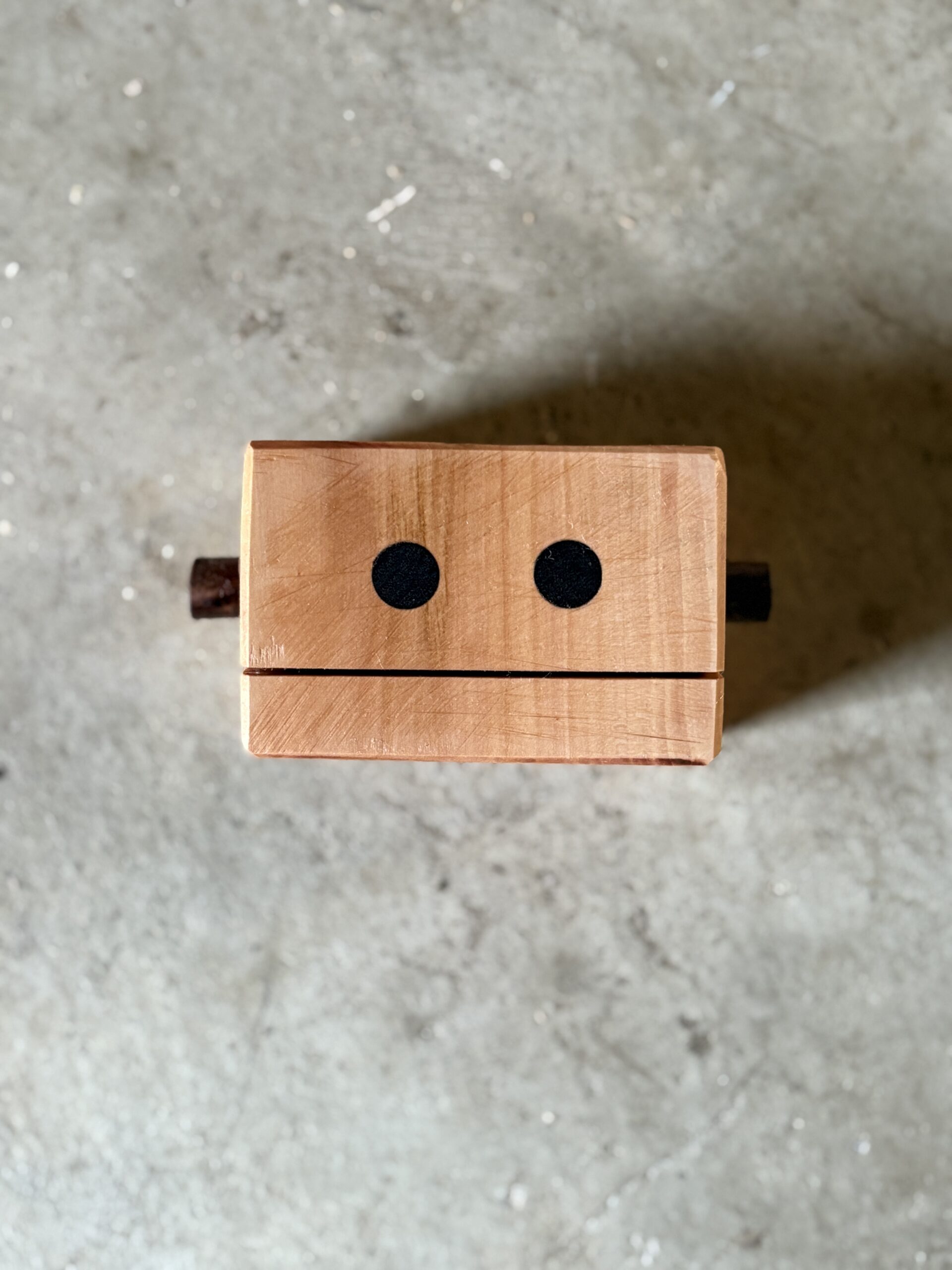 カリンのロボット