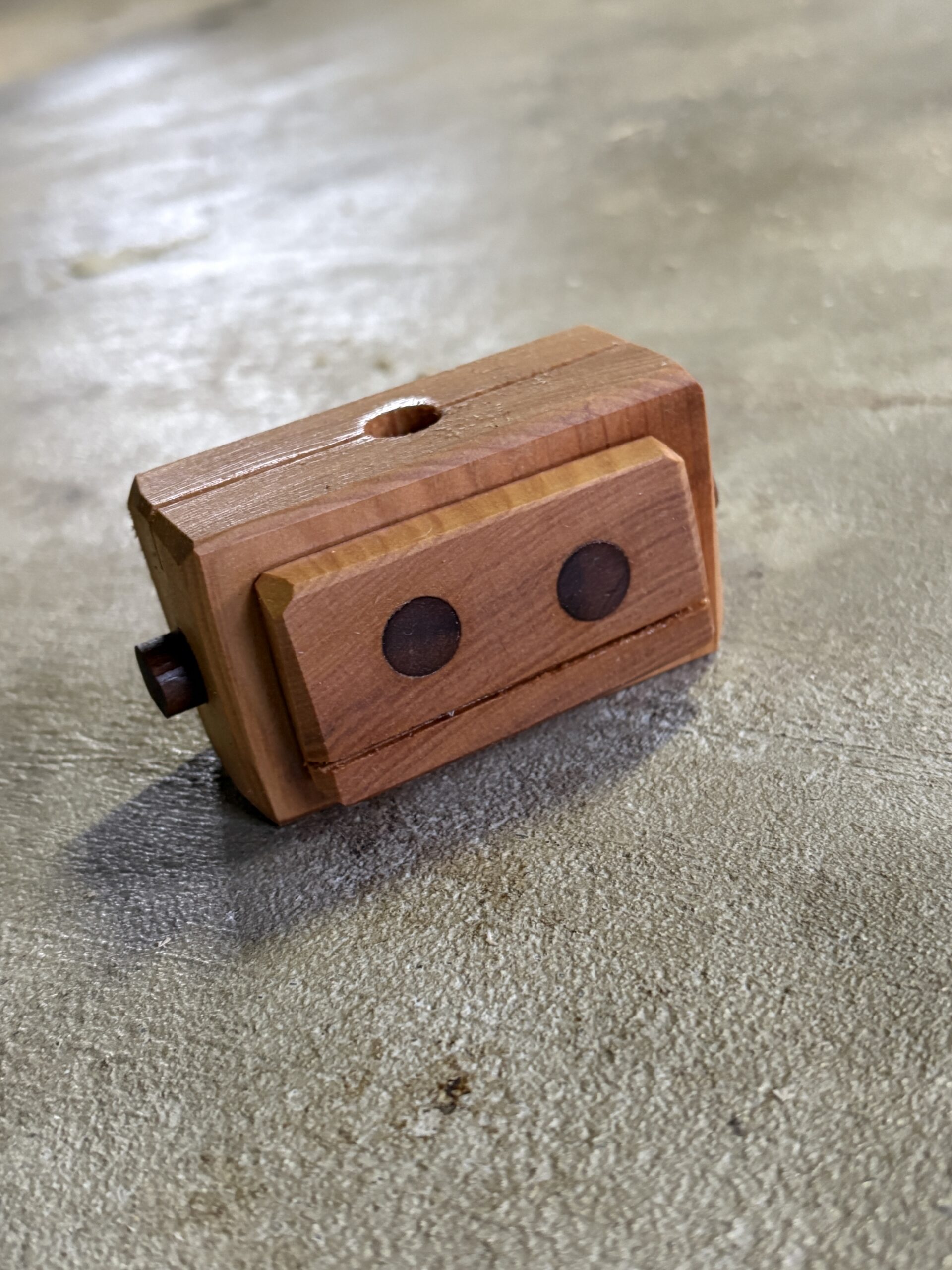 カツラのロボット