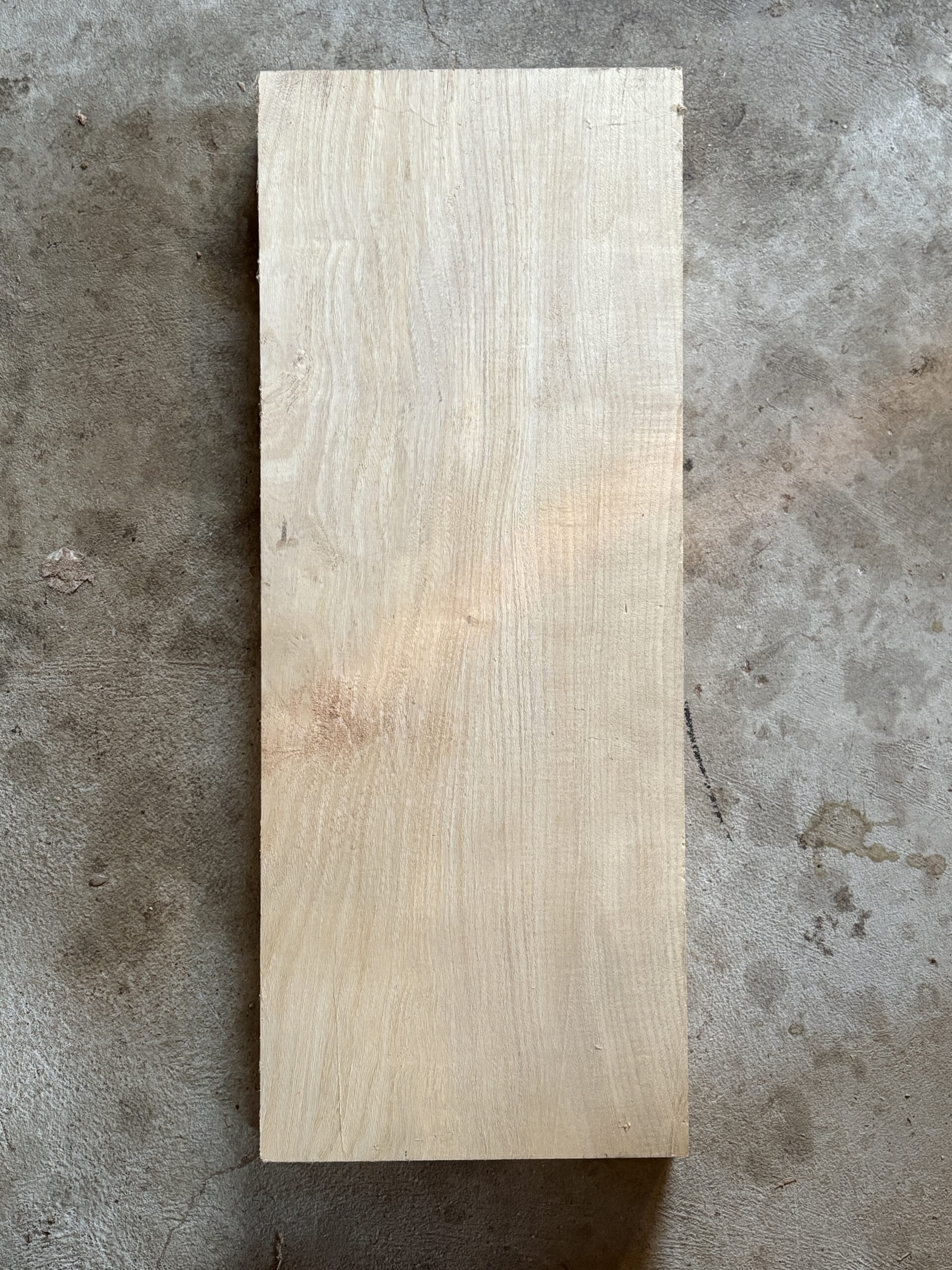 ウルシ　どんぐりぼうや　木の図鑑｜くだらない道具屋