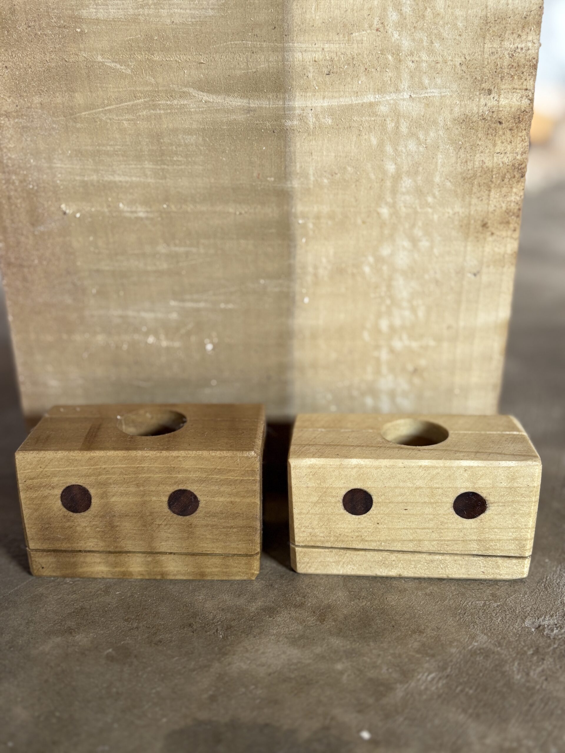 ホオノキのロボット