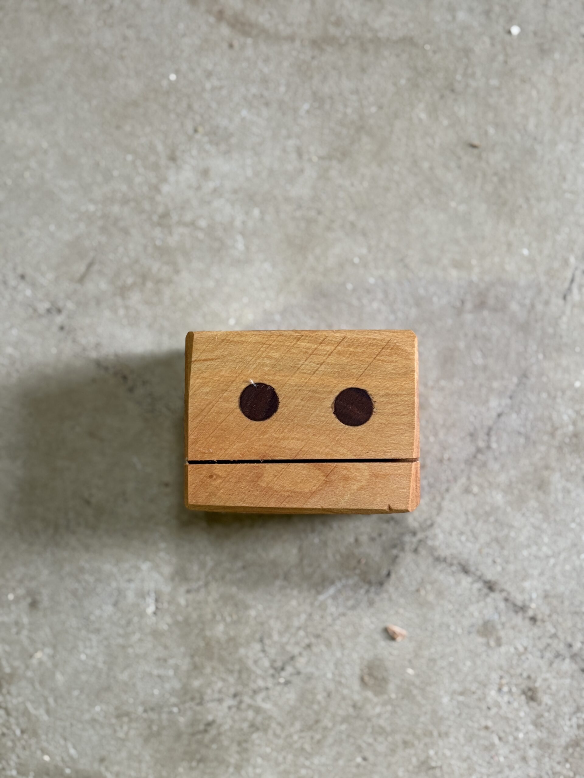 サンゴジュのロボット