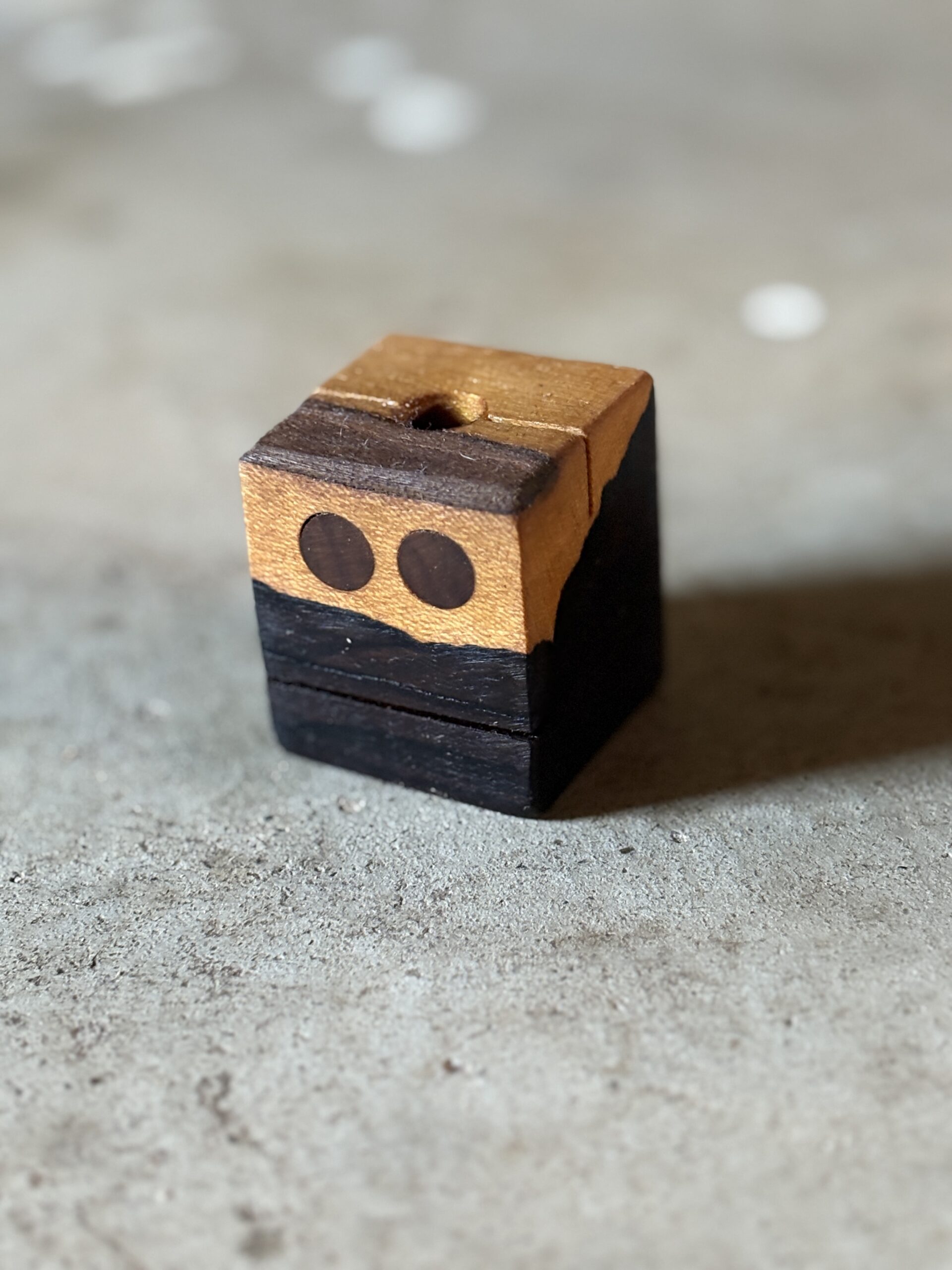 シャムガキのロボット