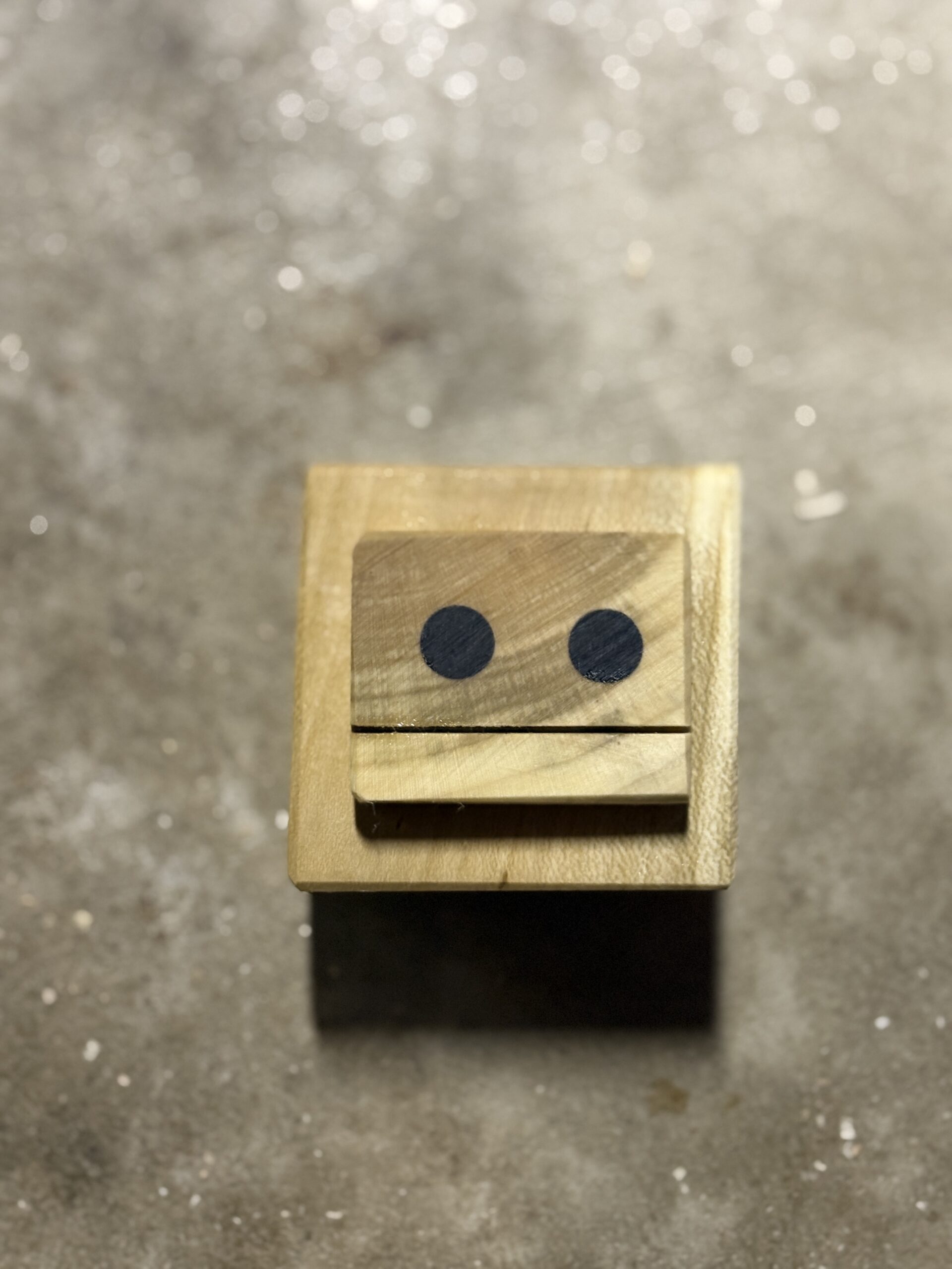 クロガネモチのロボット