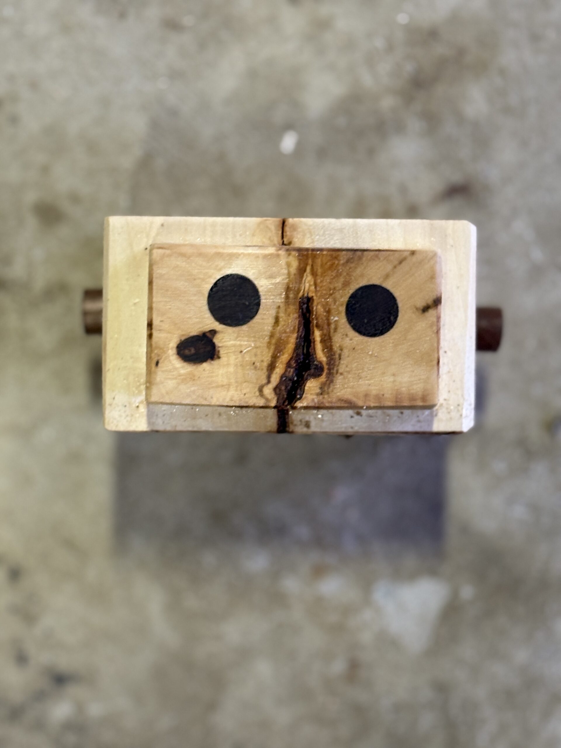 メグスリノキのロボット