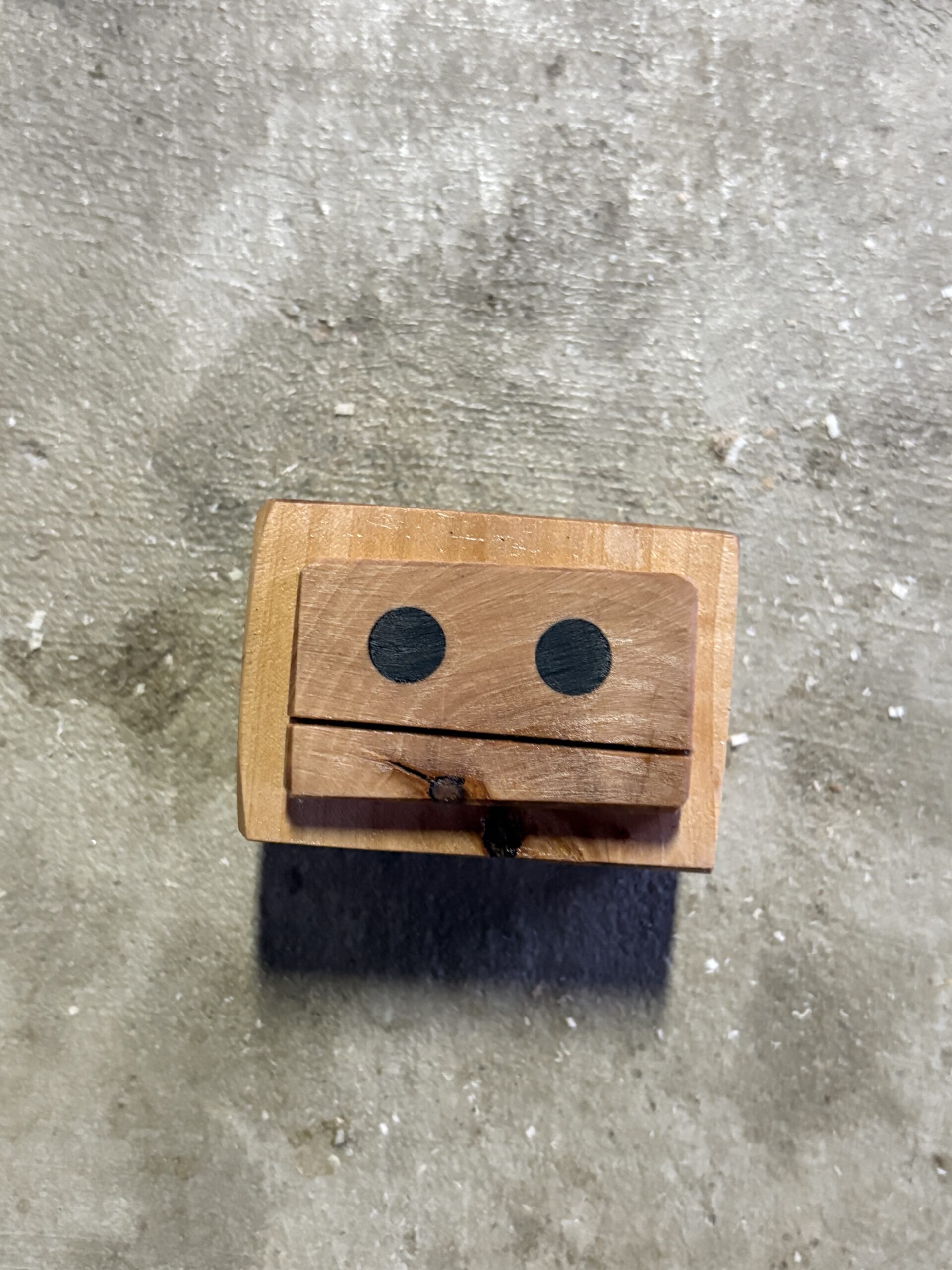 ナツツバキのロボット