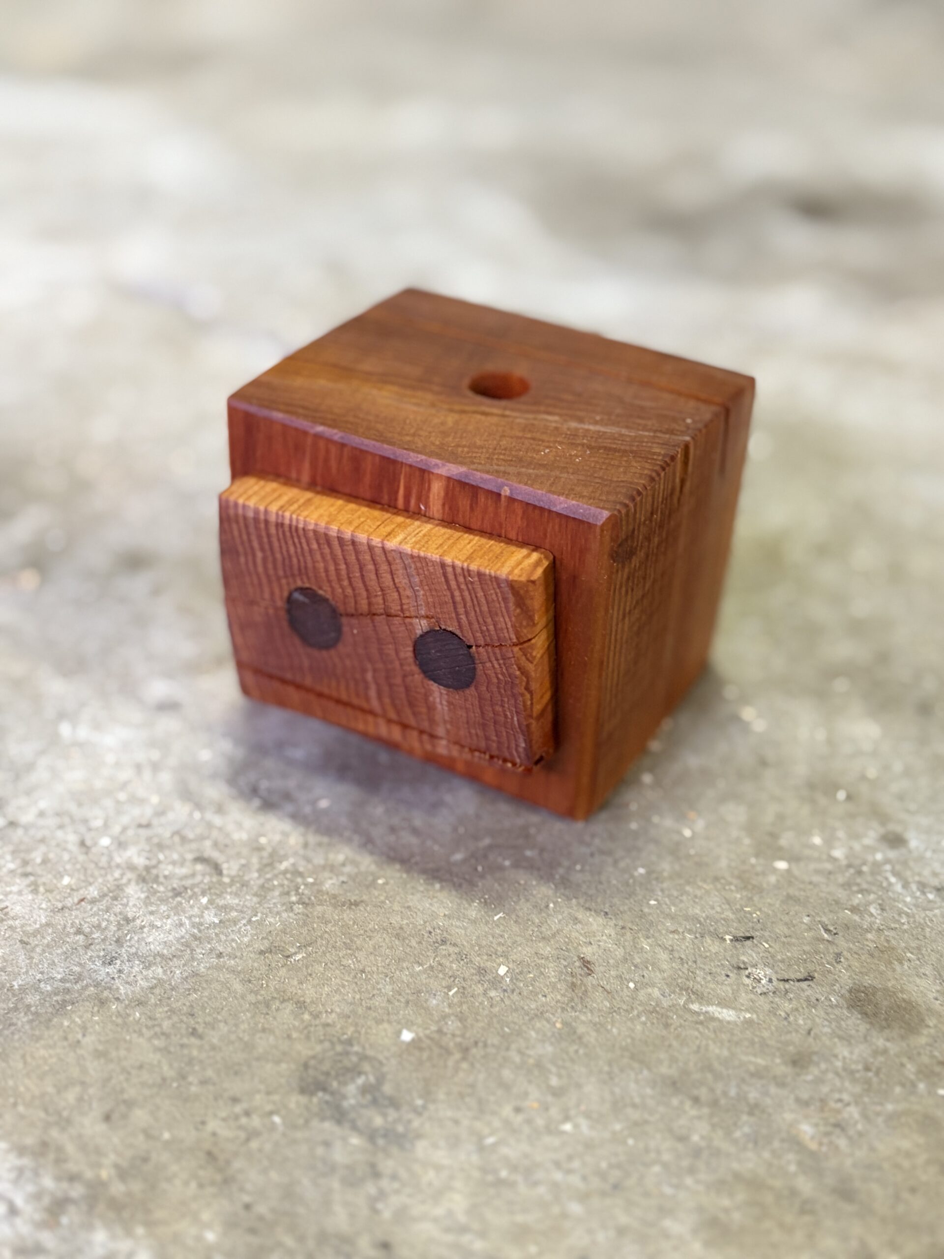 ラオスヒノキのロボット