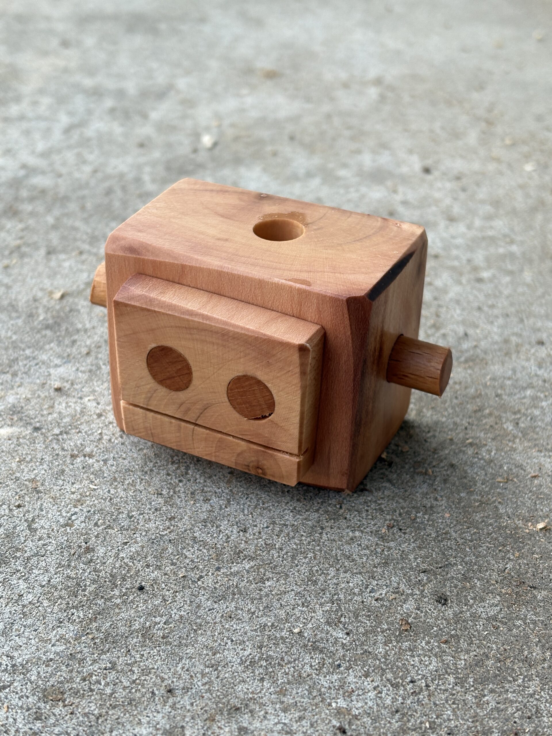 ハナミズキのロボット