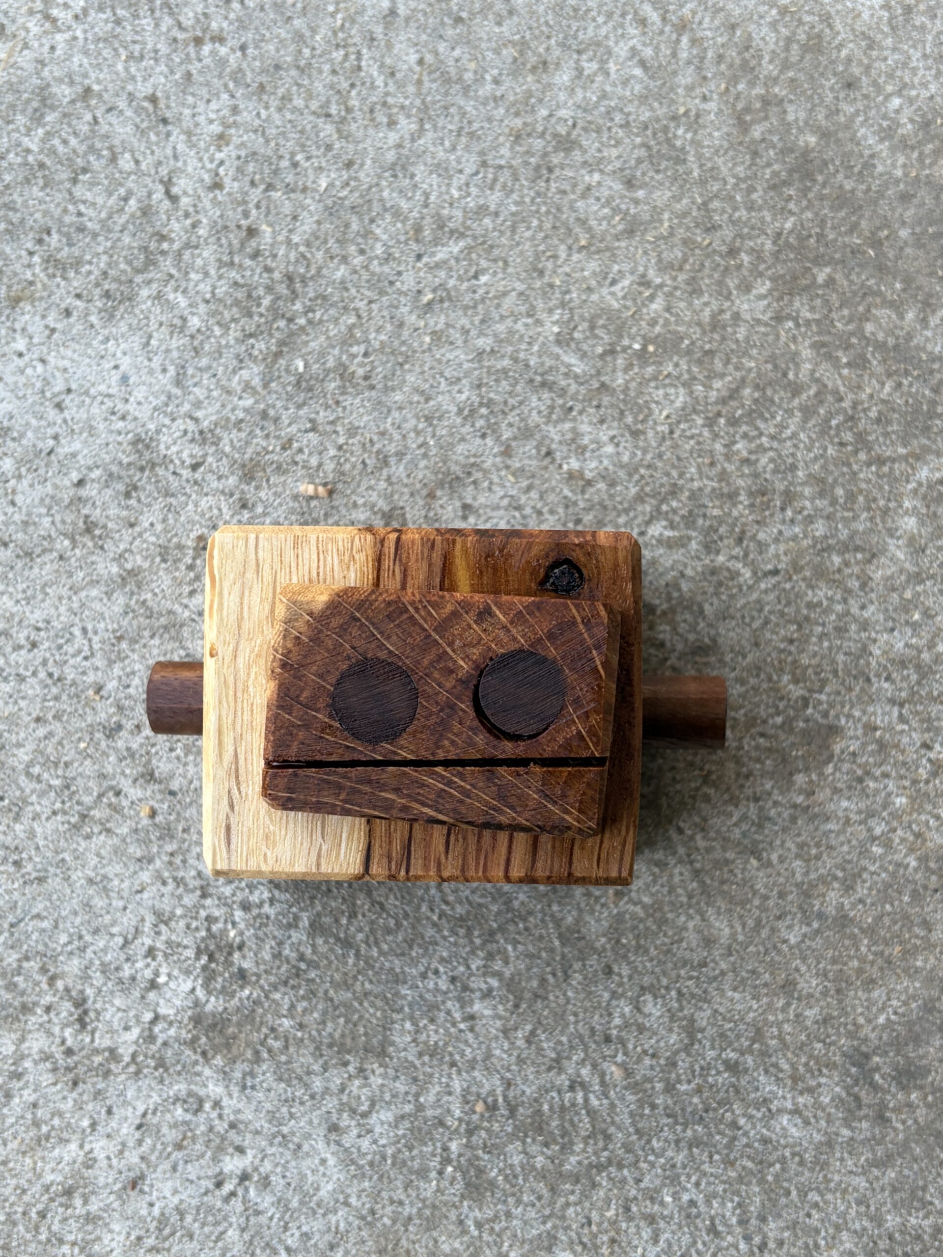 カシワのロボット