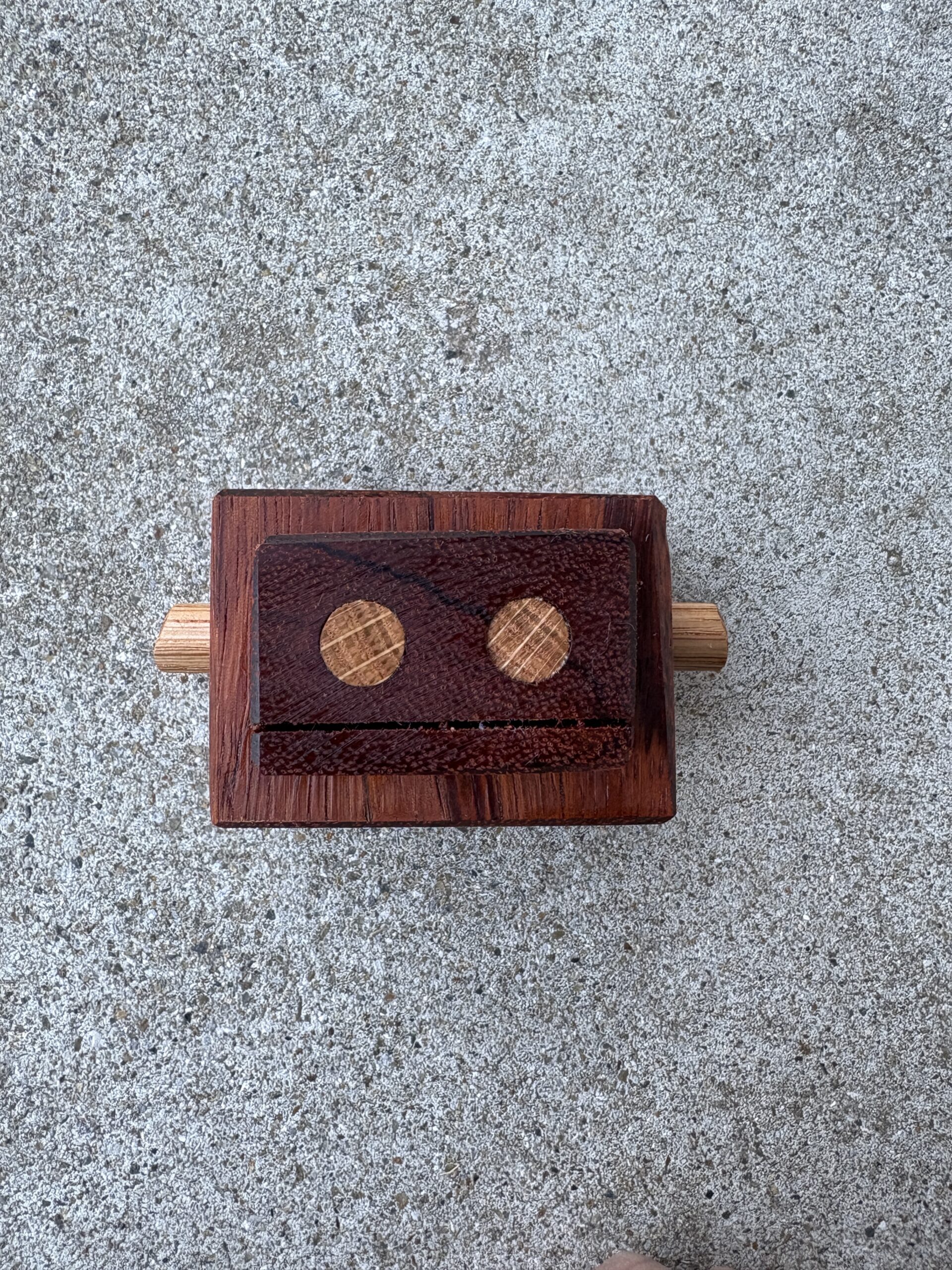 レッドゼブラ　エビアラ