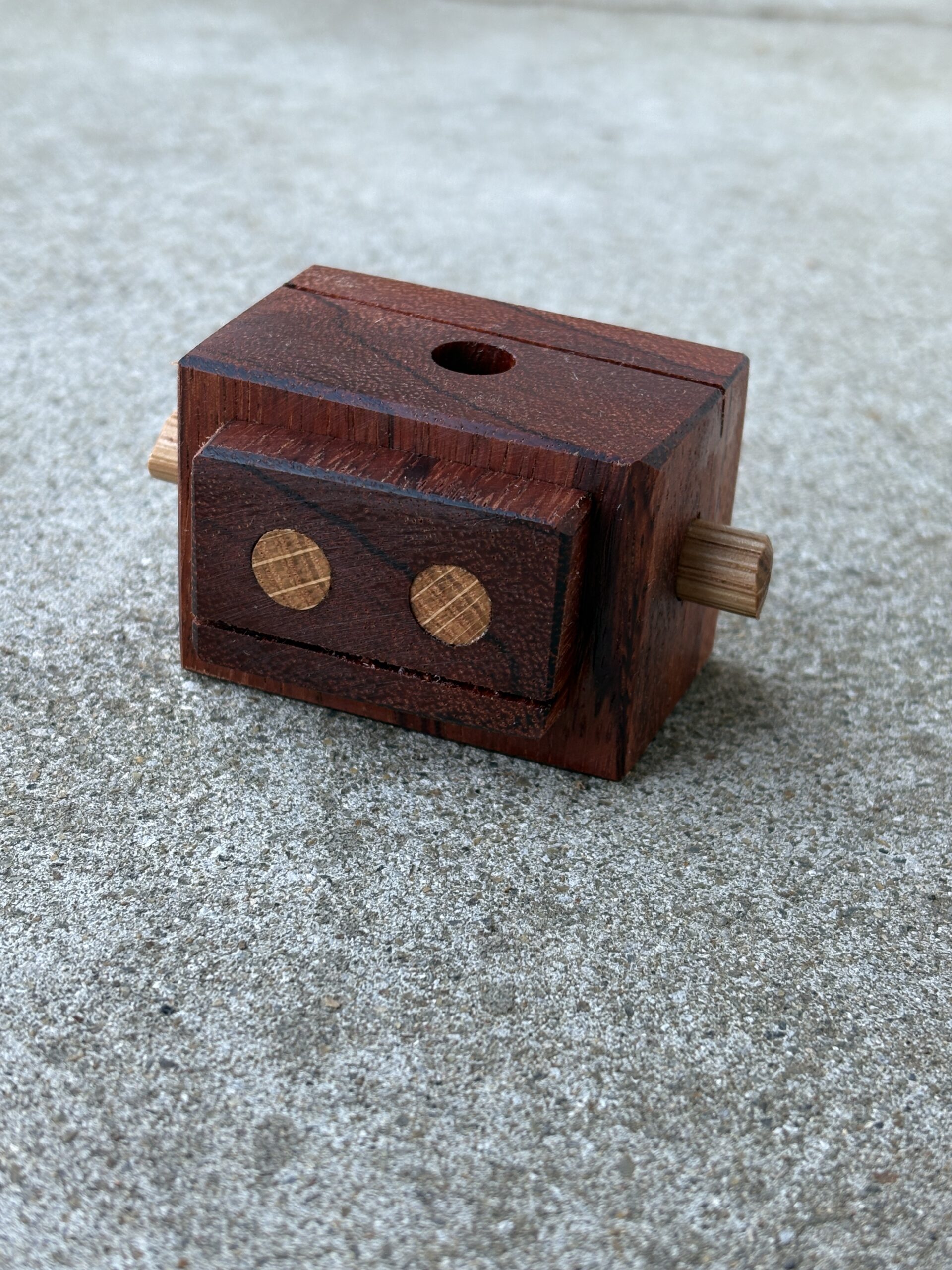 レッドゼブラ　エビアラ