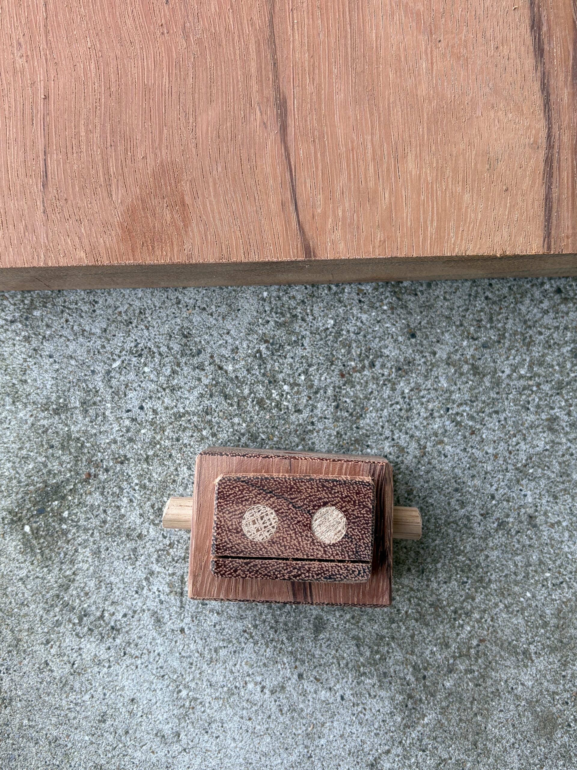 レッドゼブラ　エビアラ