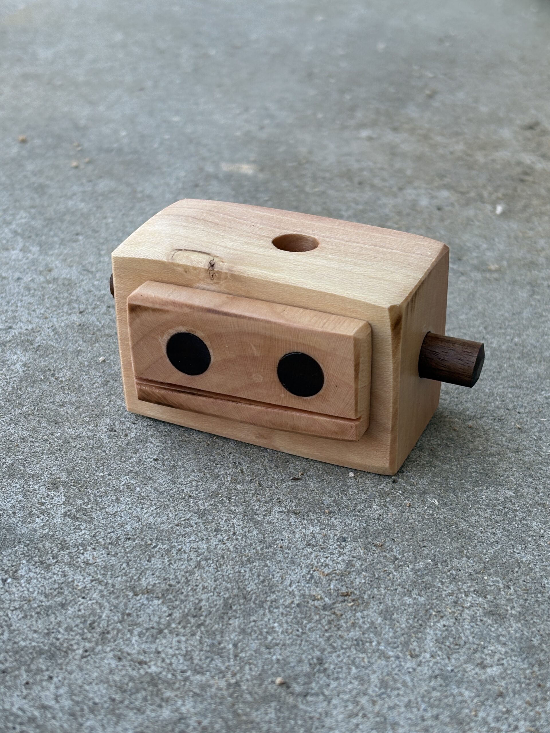 ヤマボウシのロボット