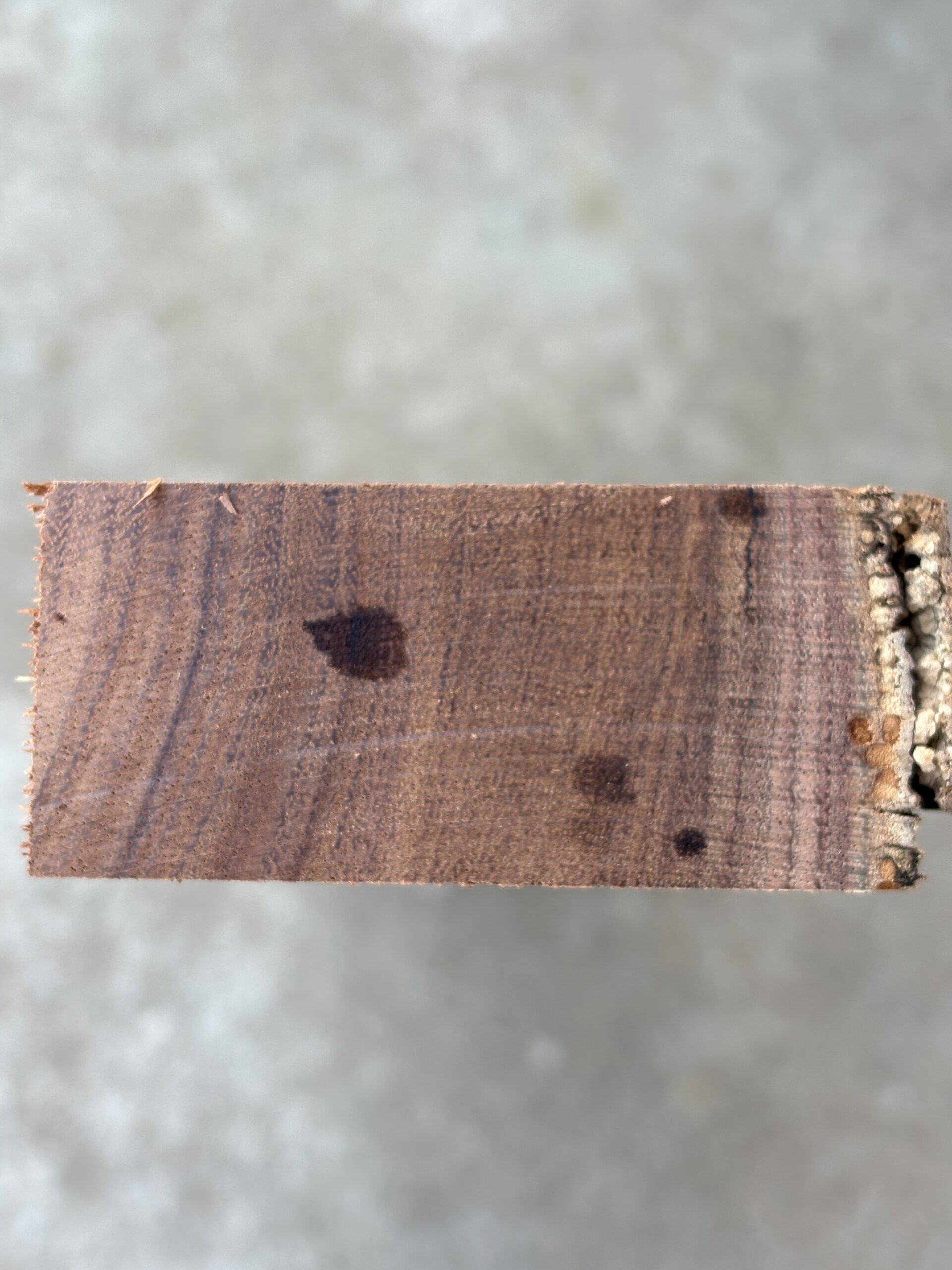 ハワイアンコア