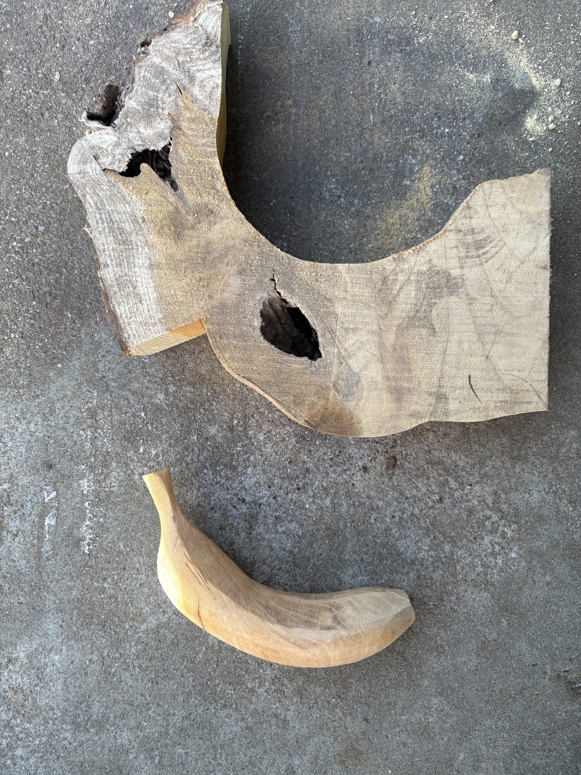 キノバナナ Lv.26 画像6