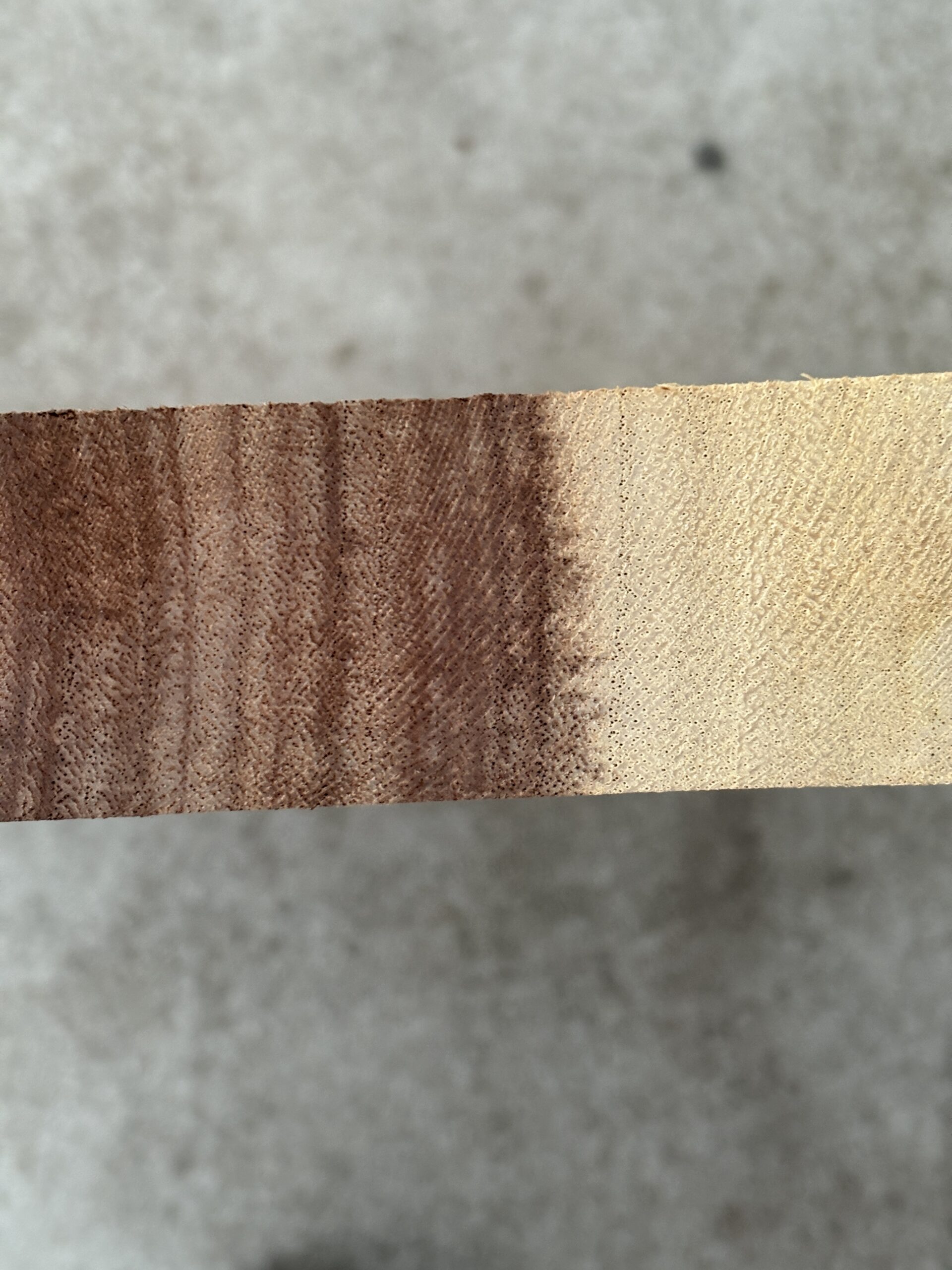 モンキーポッド