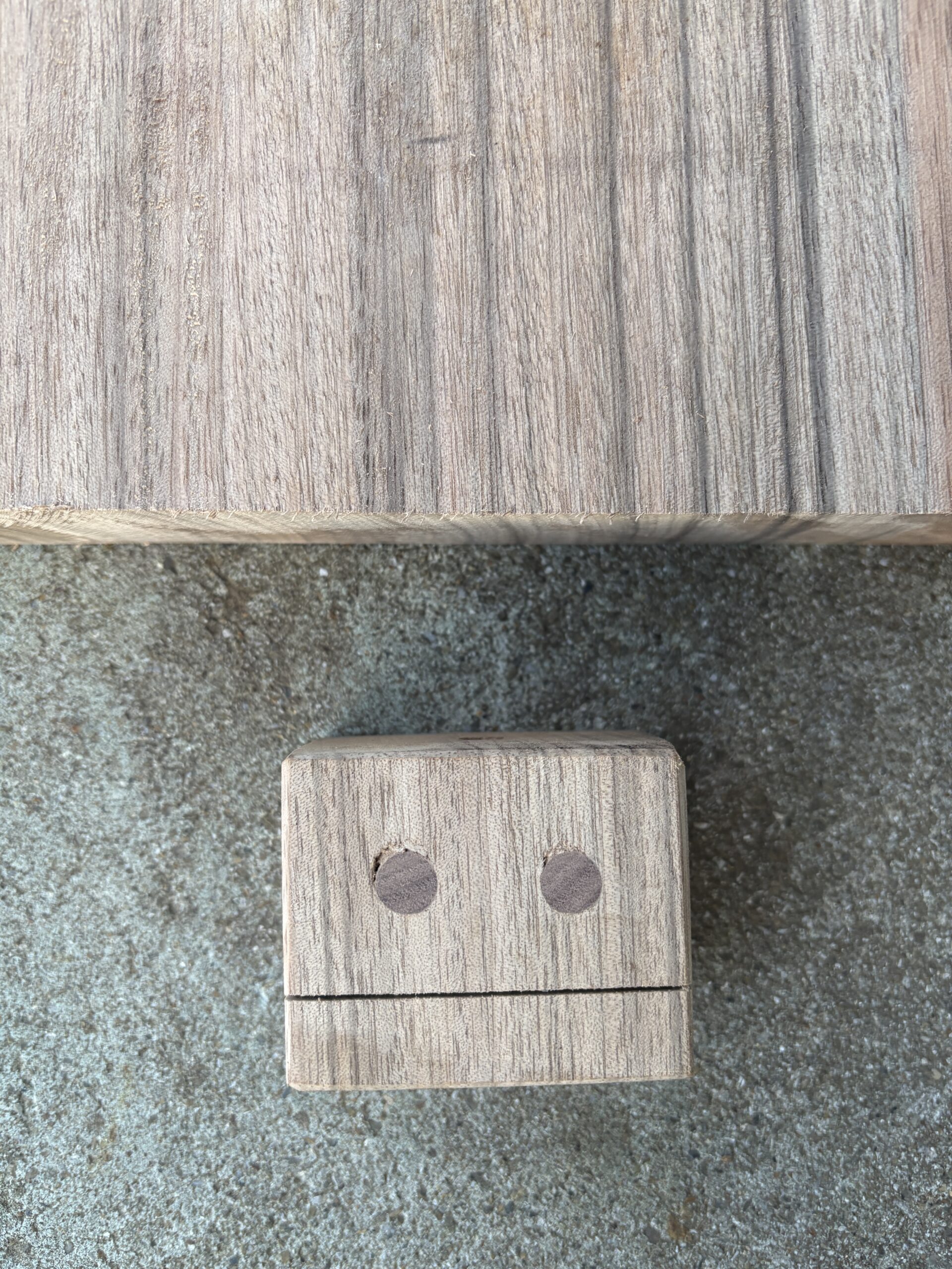 ニューギニアウォールナット