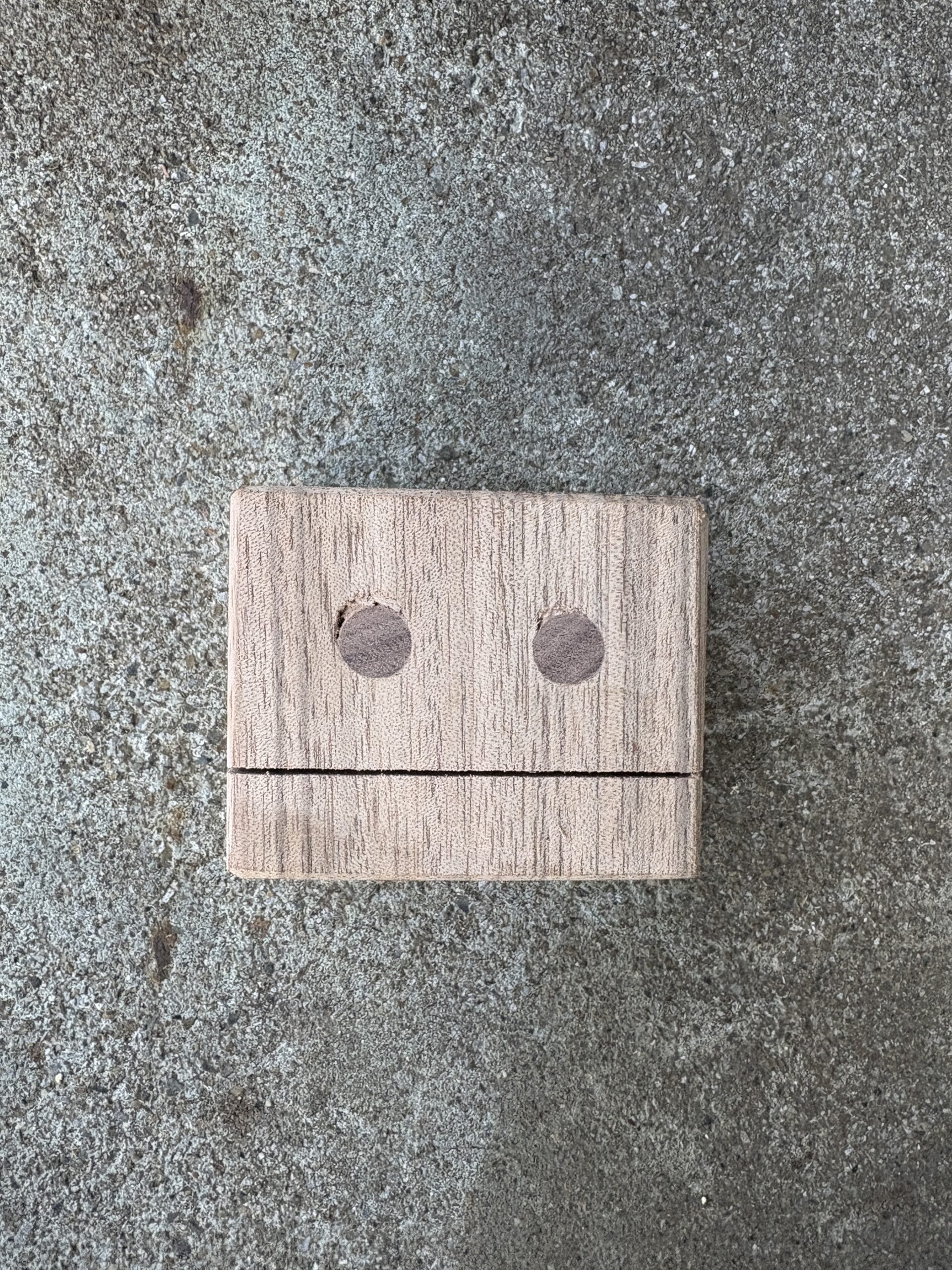 ニューギニアウォールナット