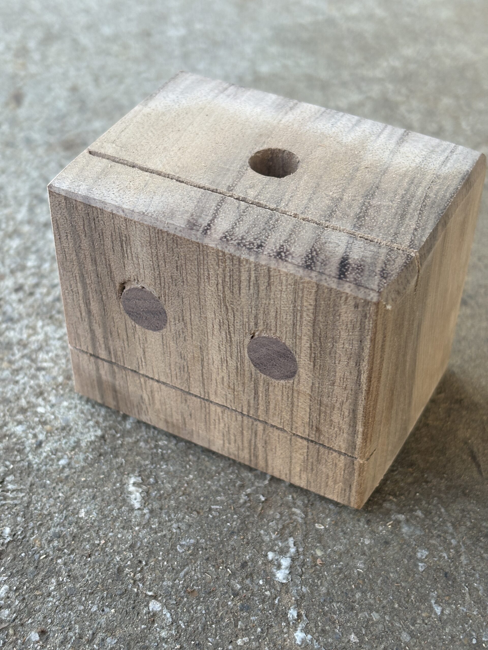 ニューギニアウォールナット