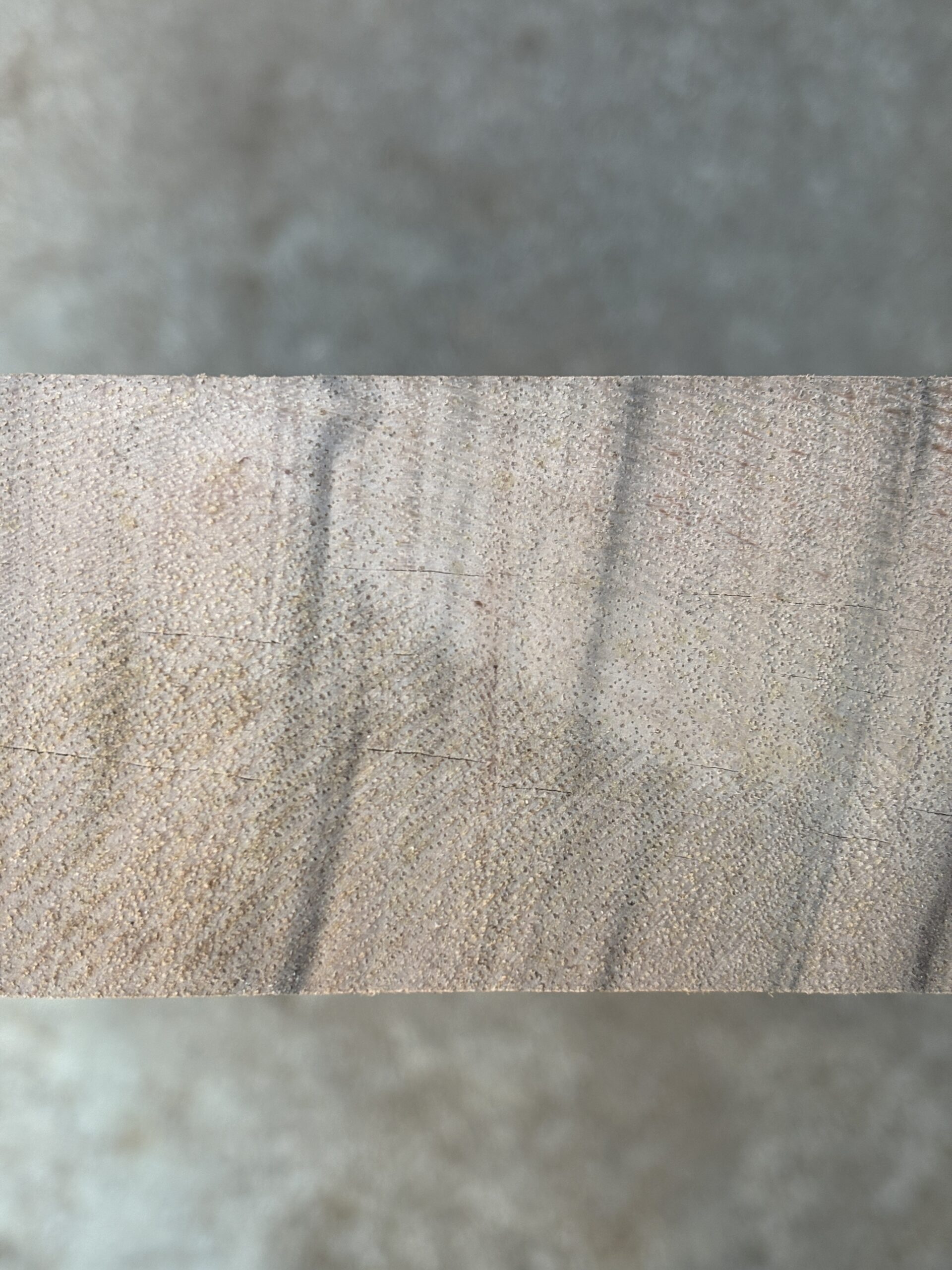 ニューギニアウォールナット