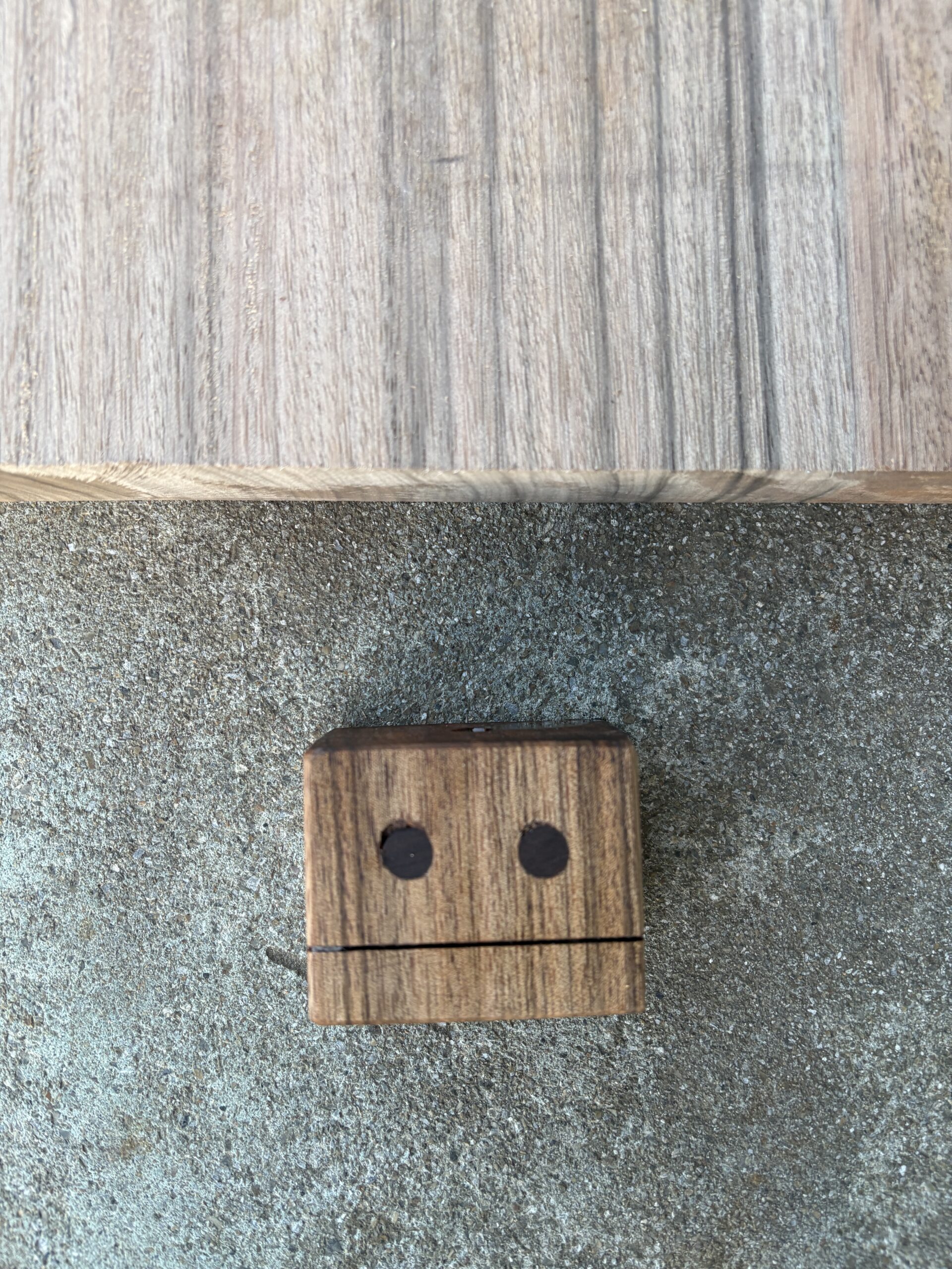 ニューギニアウォールナット