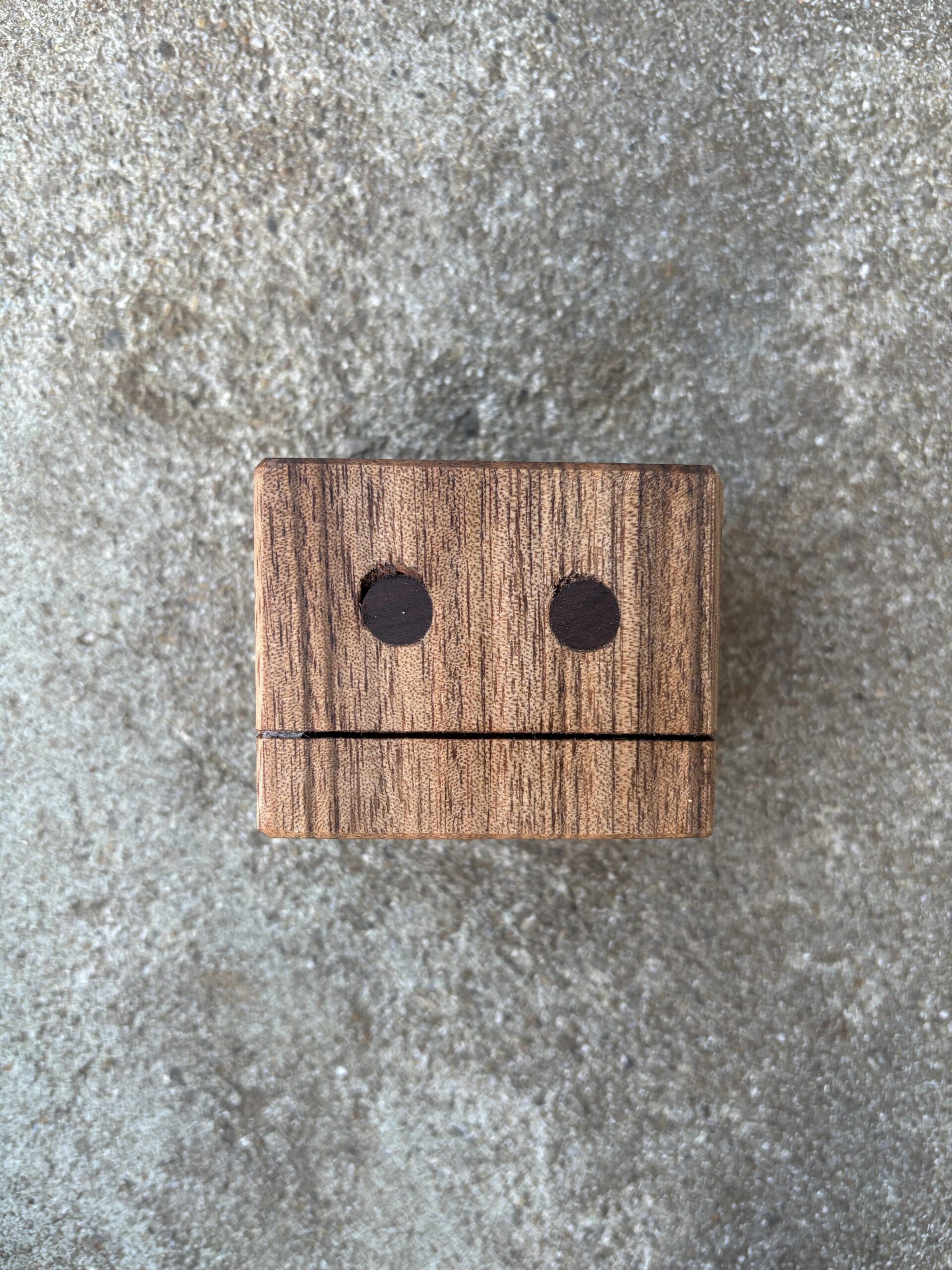 ニューギニアウォールナット