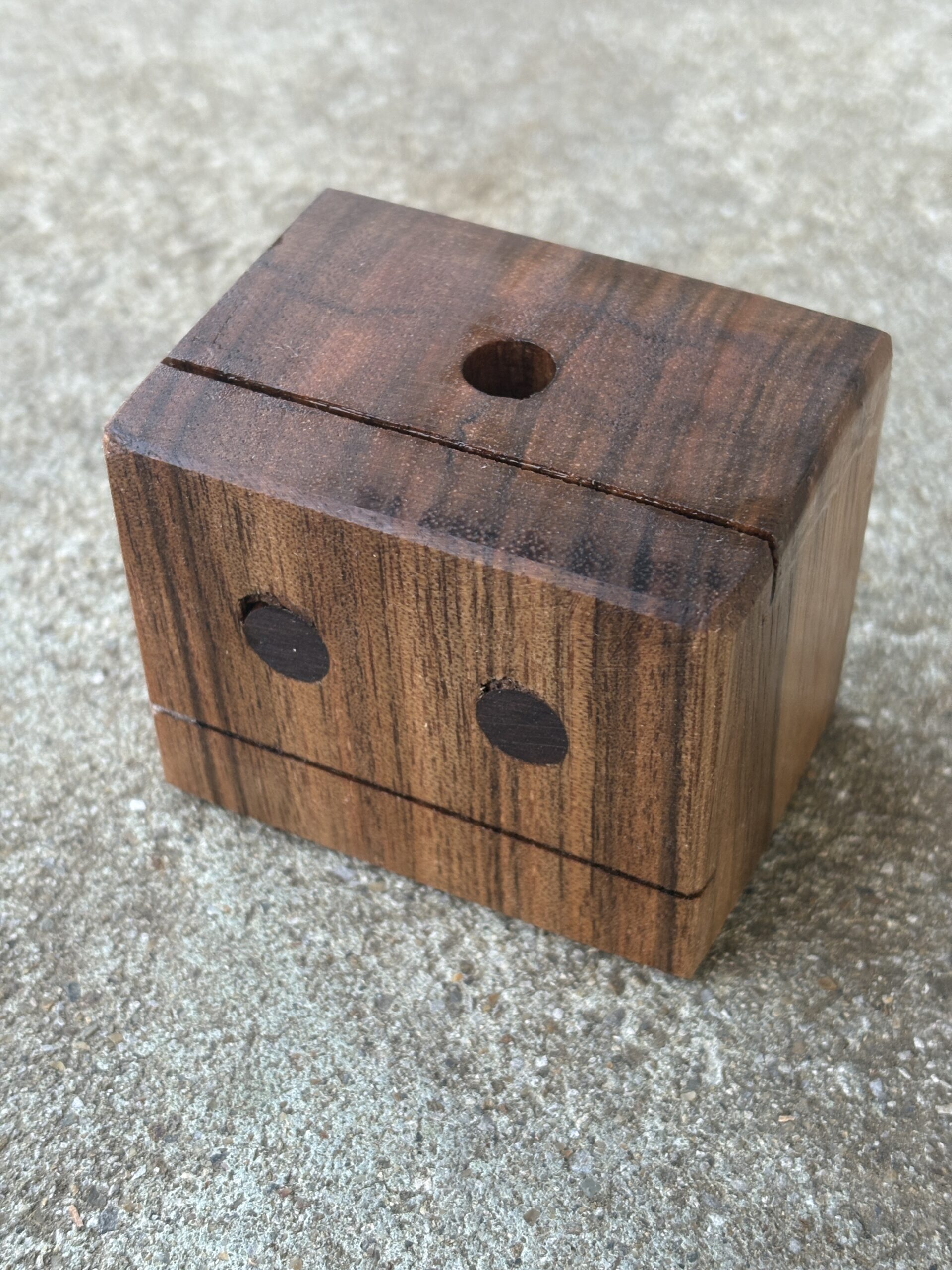 ニューギニアウォールナット