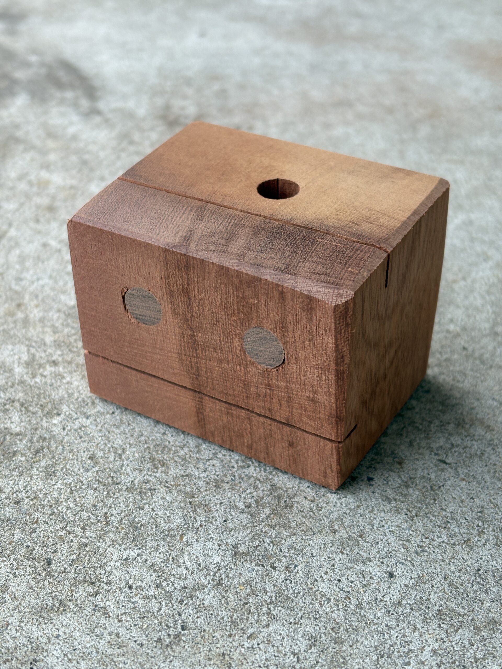 シンガポールマホガニー