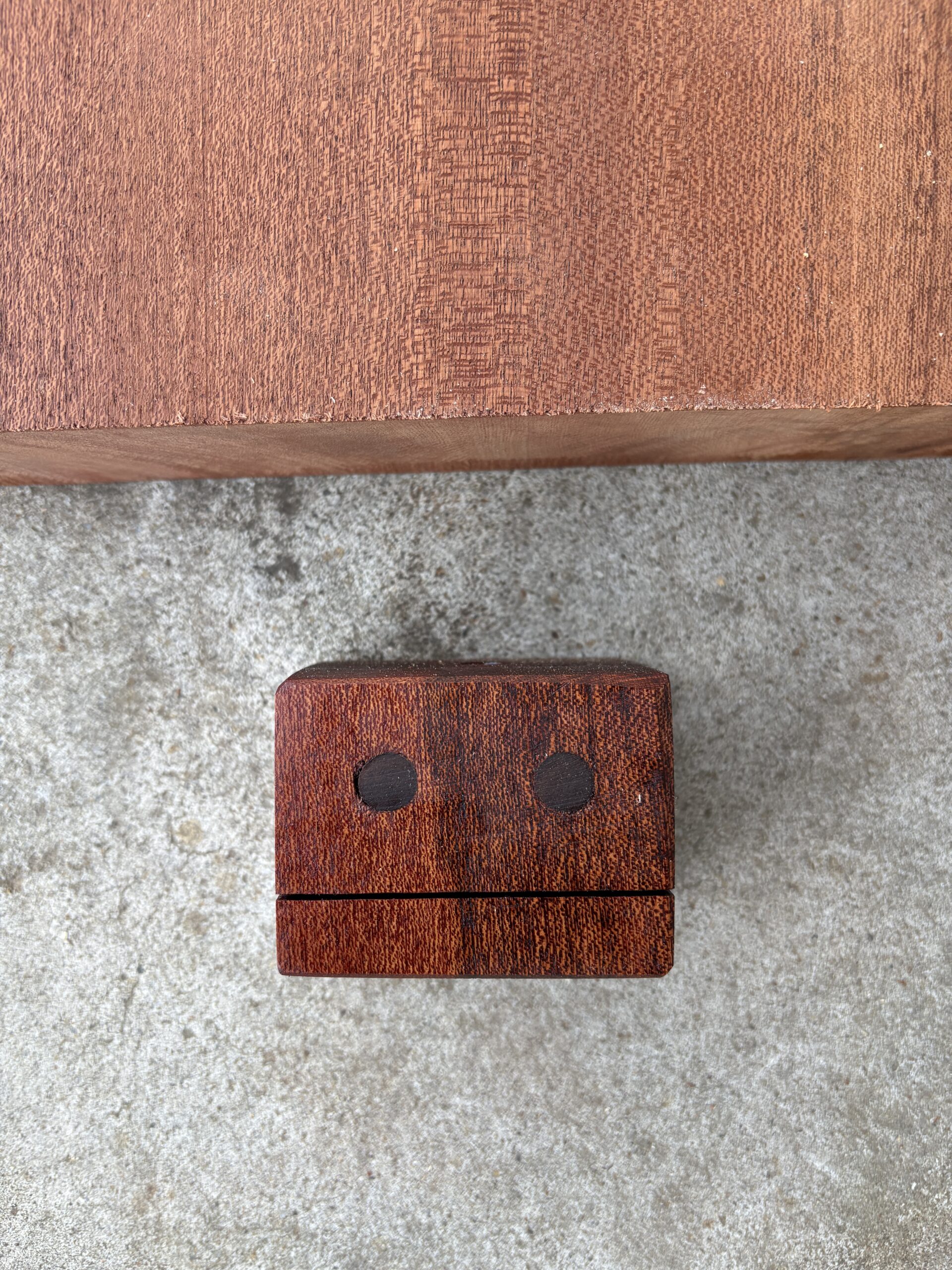 シンガポールマホガニー