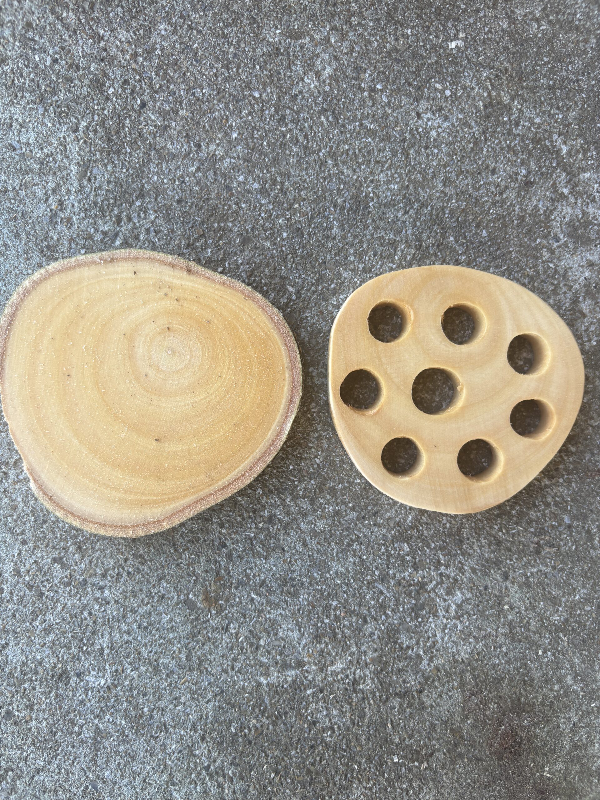 トウネズミモチ