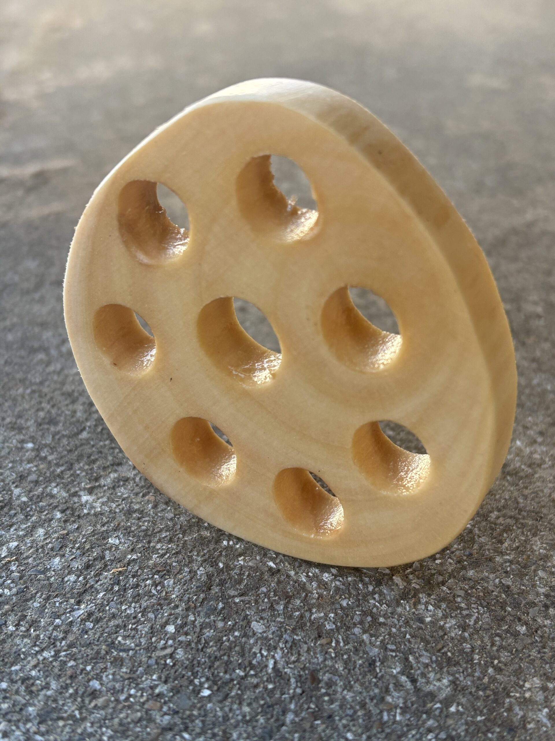 トウネズミモチ