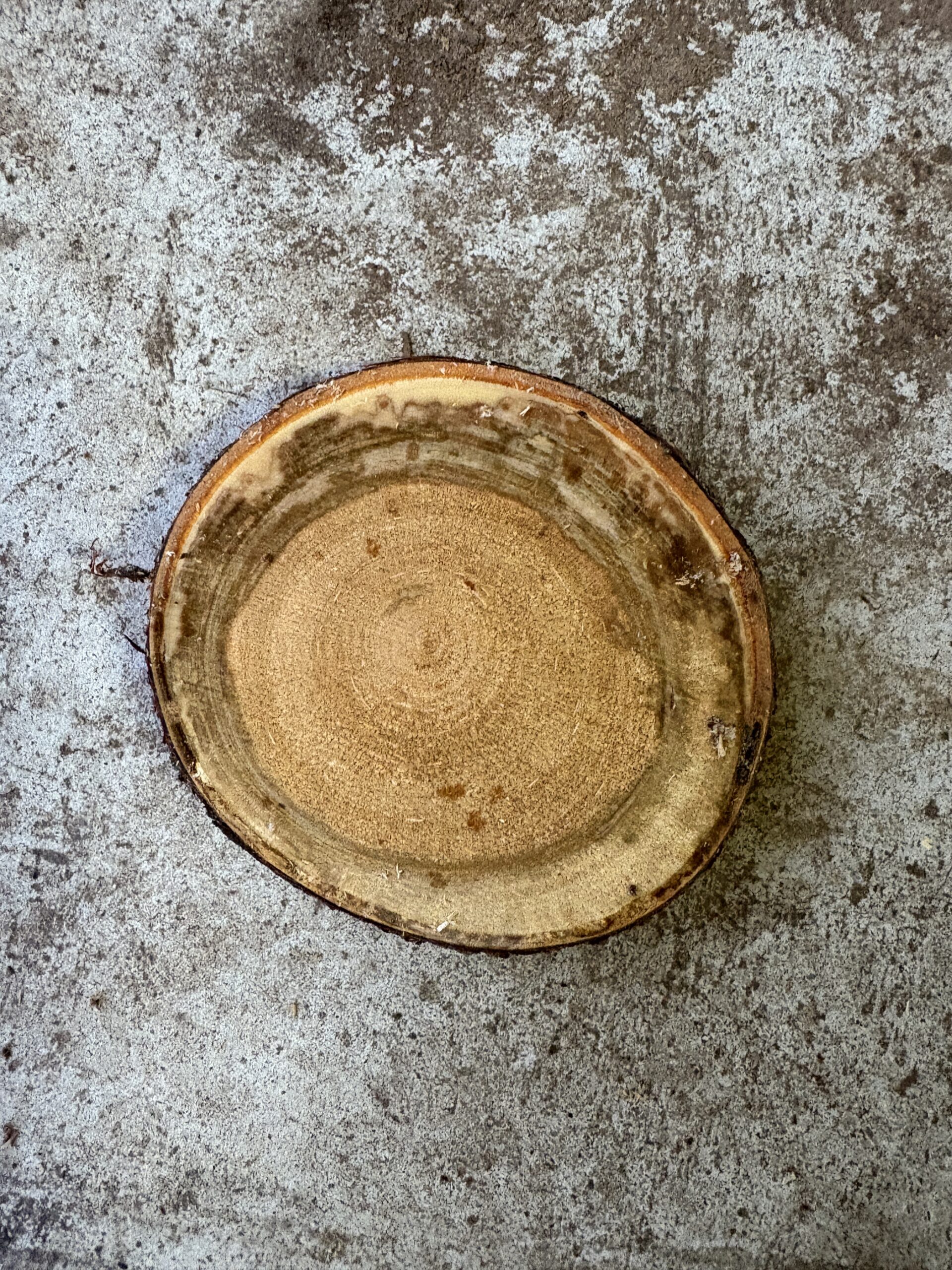 ヤマザクラ　どんぐりぼうや　木の図鑑｜くだらない道具屋