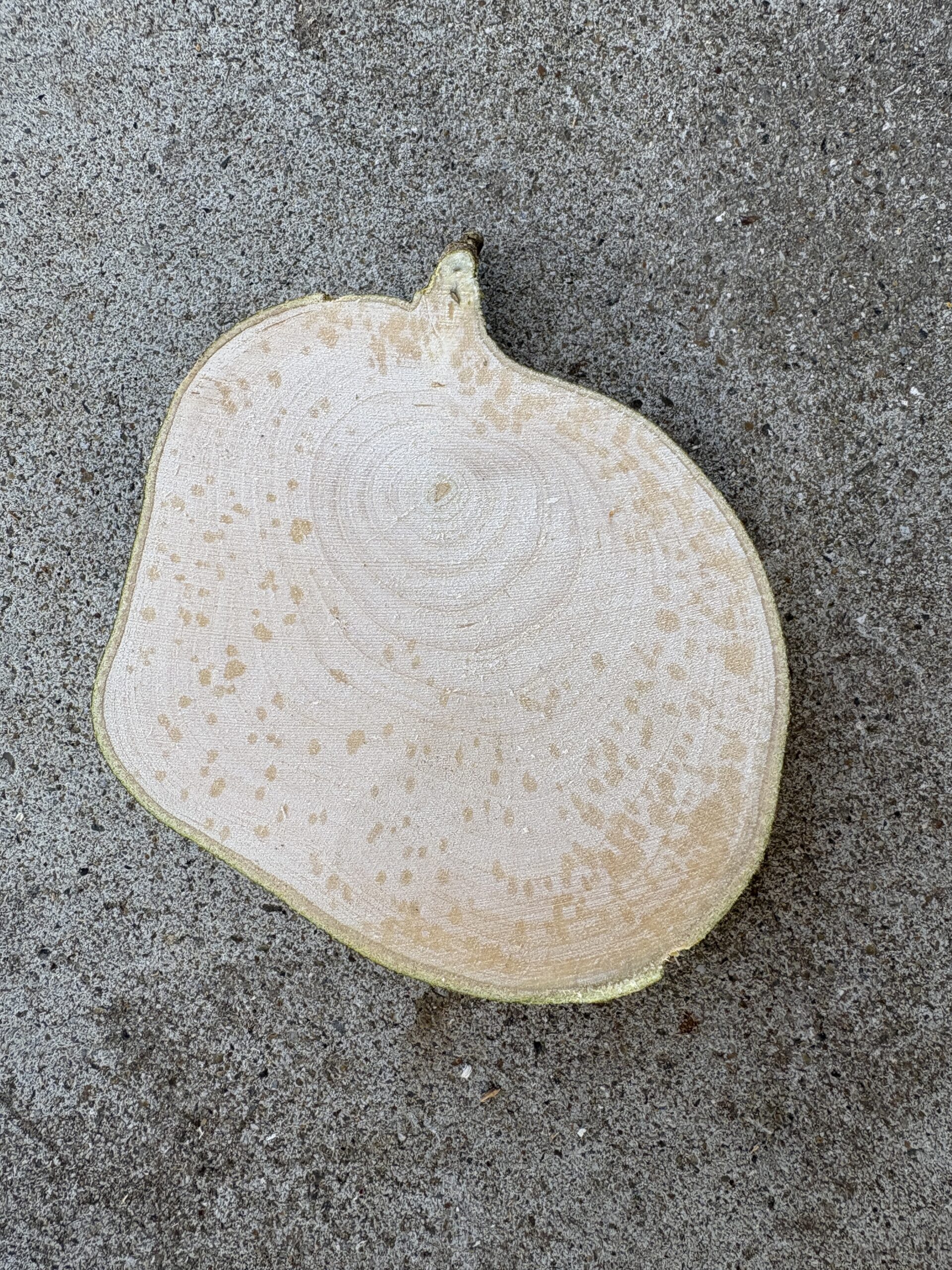 ユズ　どんぐりぼうや　木の図鑑｜くだらない道具屋