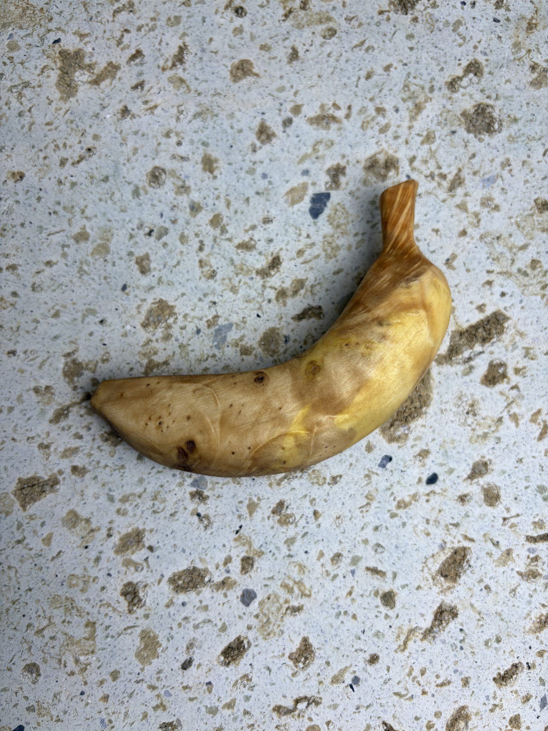 イチョウコブ 木材｜どんぐり坊や くだらない道具屋