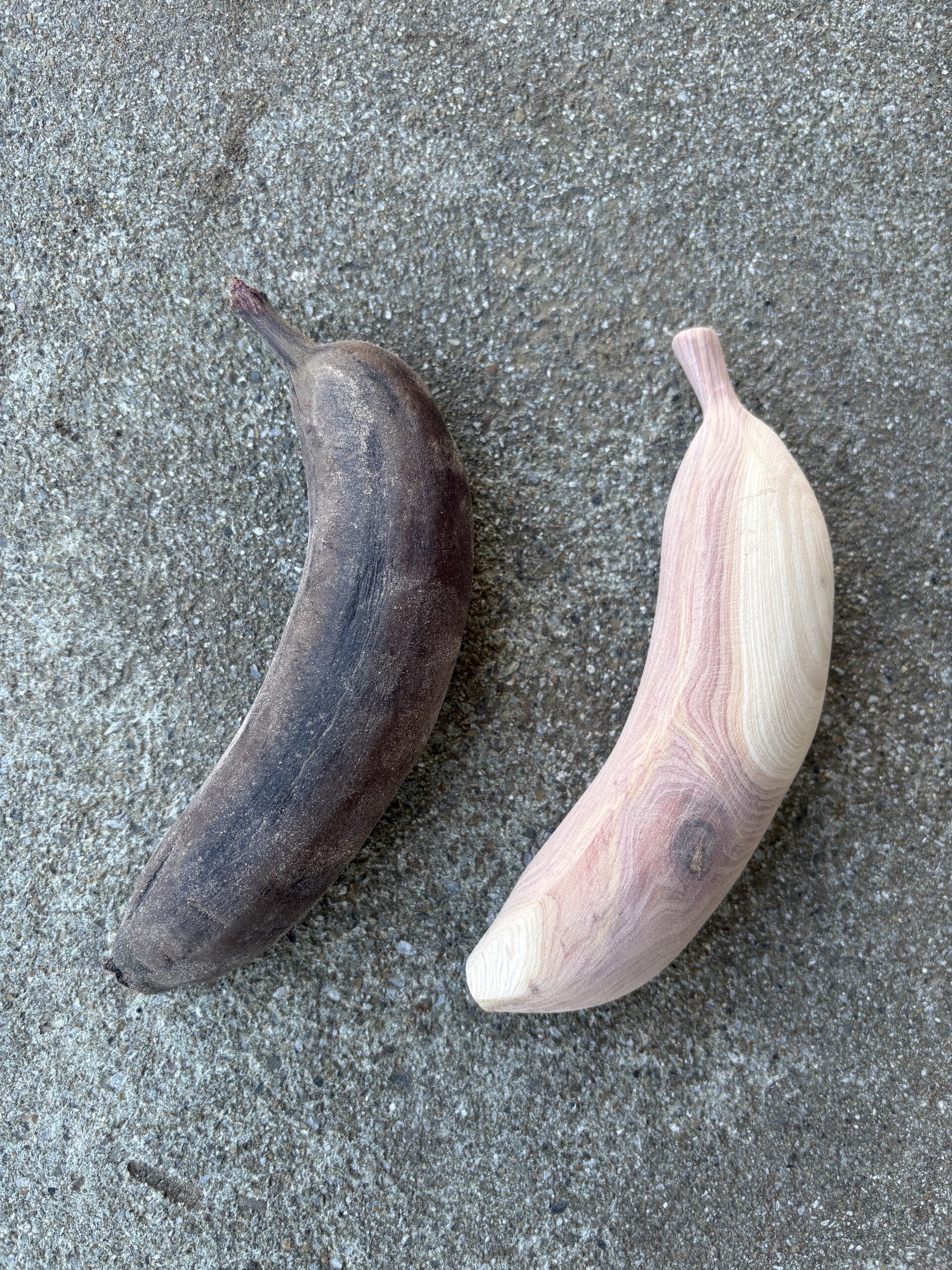 カイヅカイブキ 木材｜どんぐり坊や くだらない道具屋