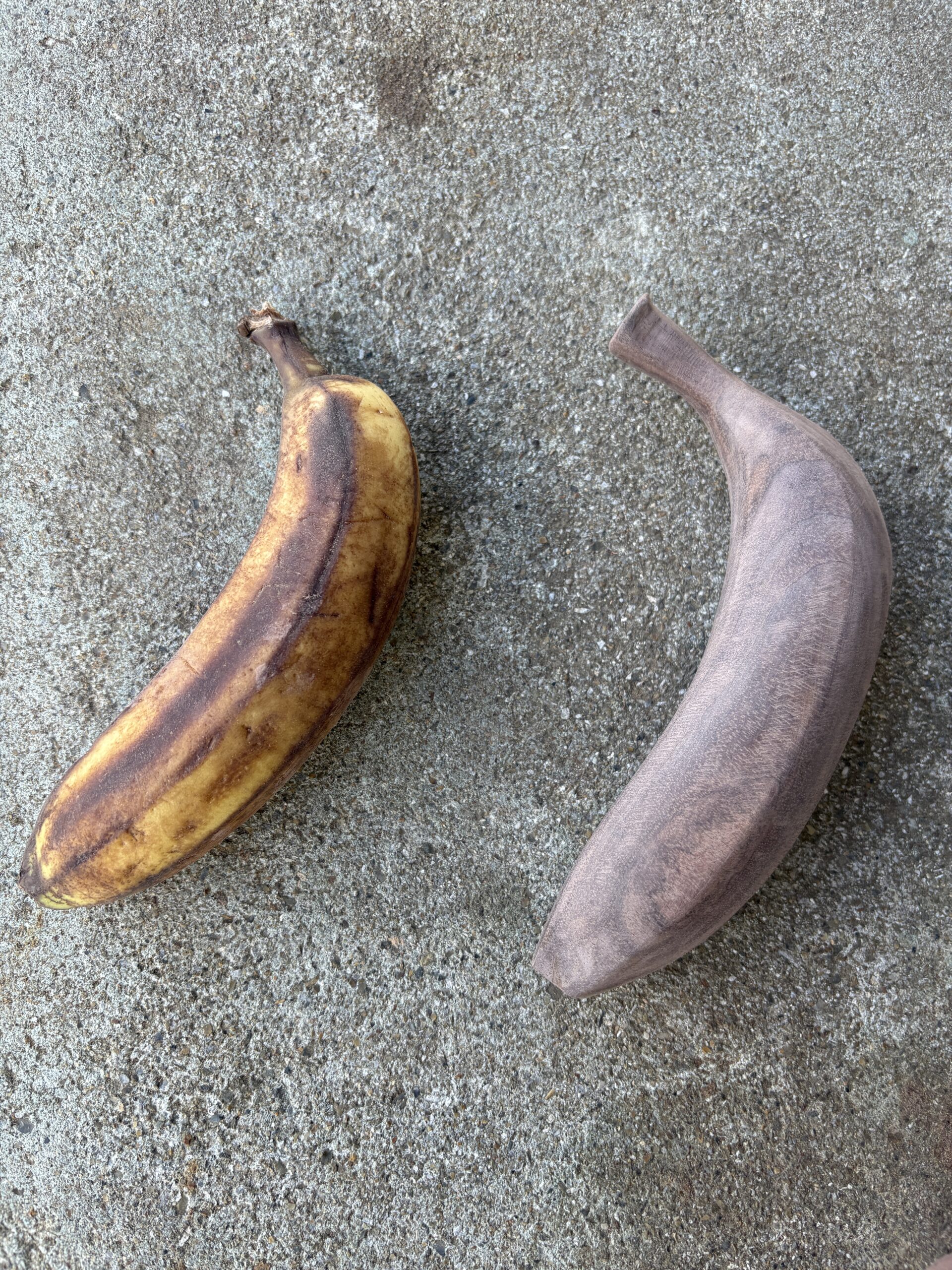 キノバナナ Lv.39 画像11