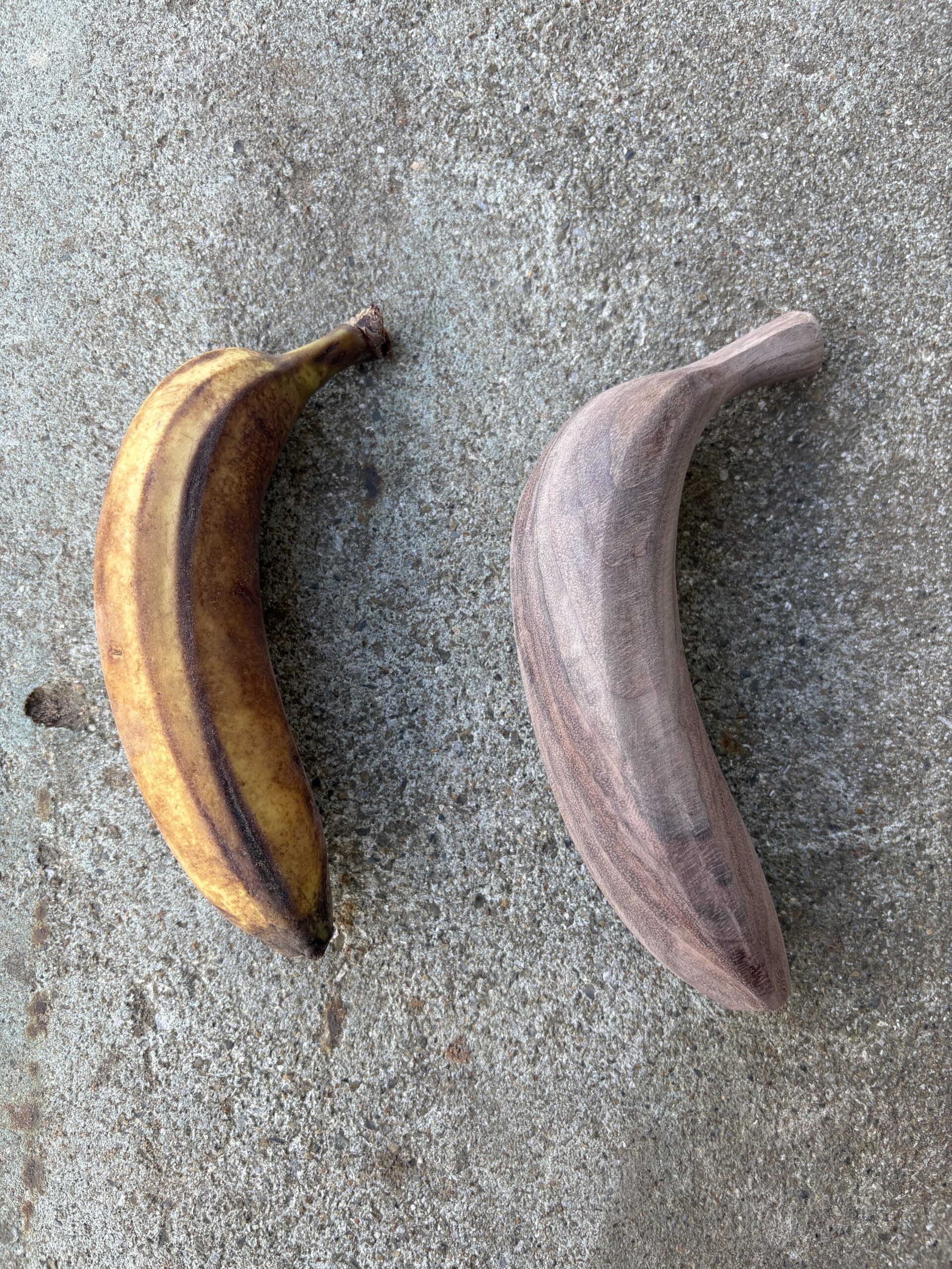 キノバナナ Lv.39 画像10