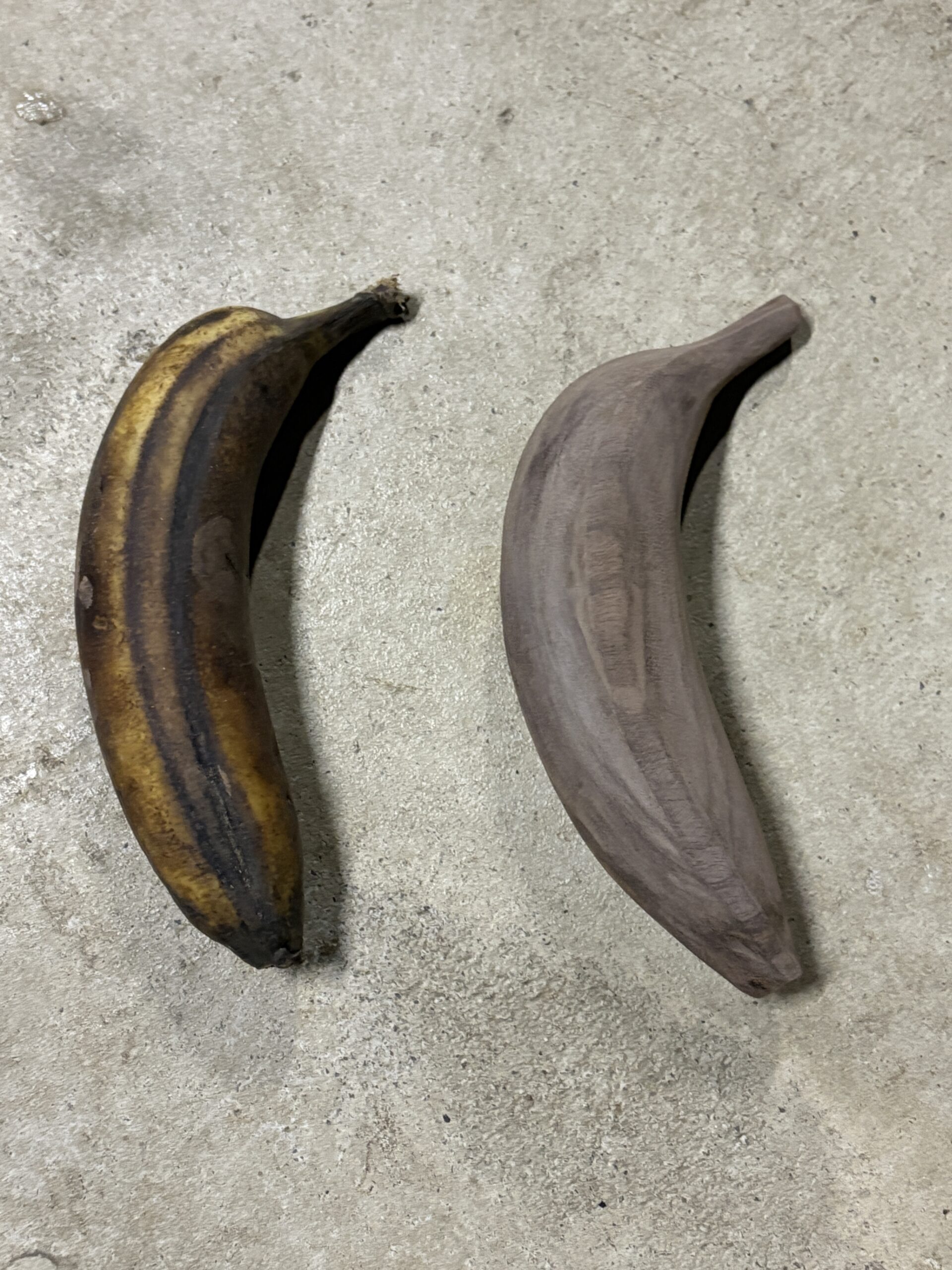 キノバナナ Lv.40 画像9