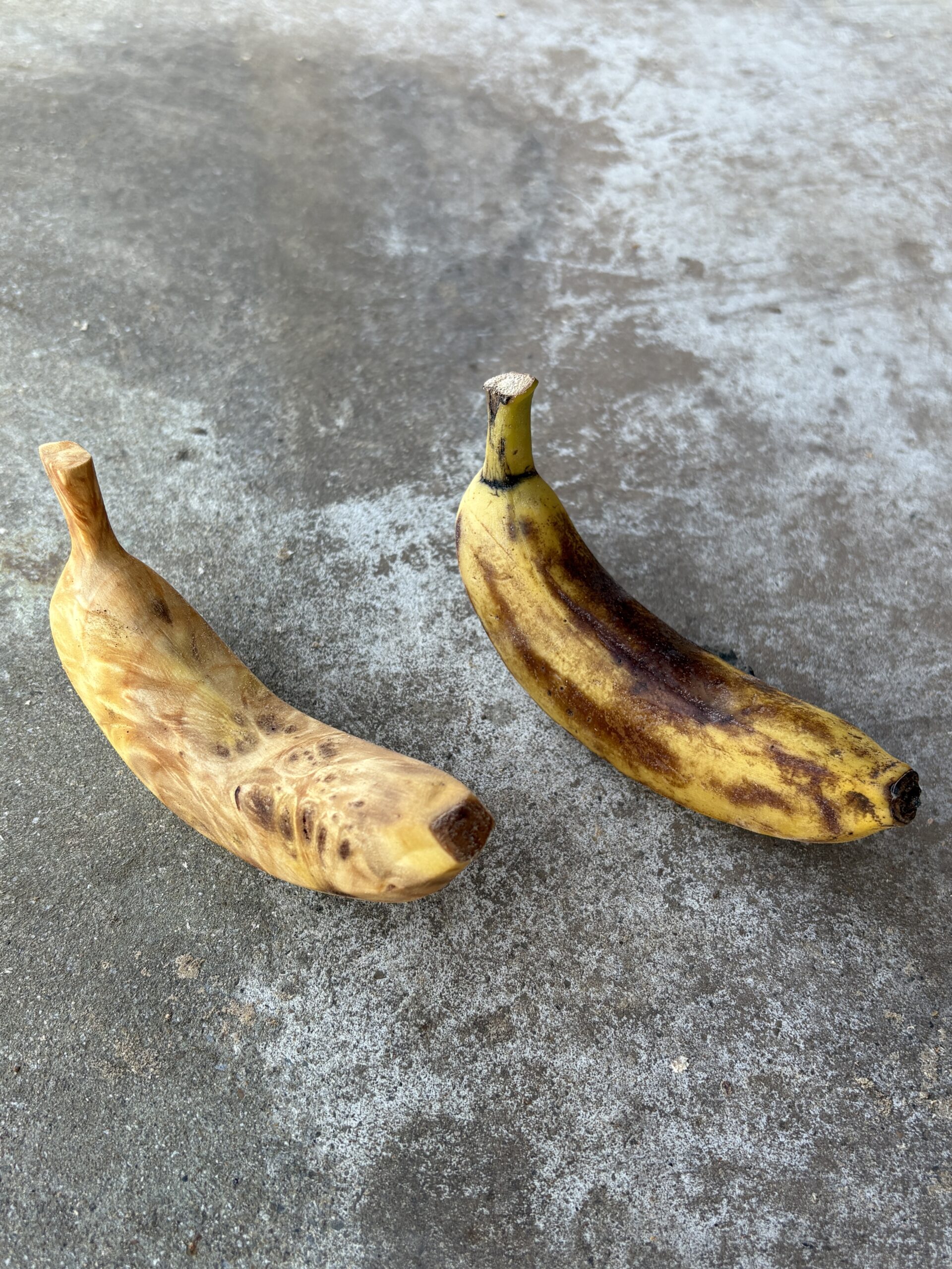 キノバナナ Lv.52 画像6