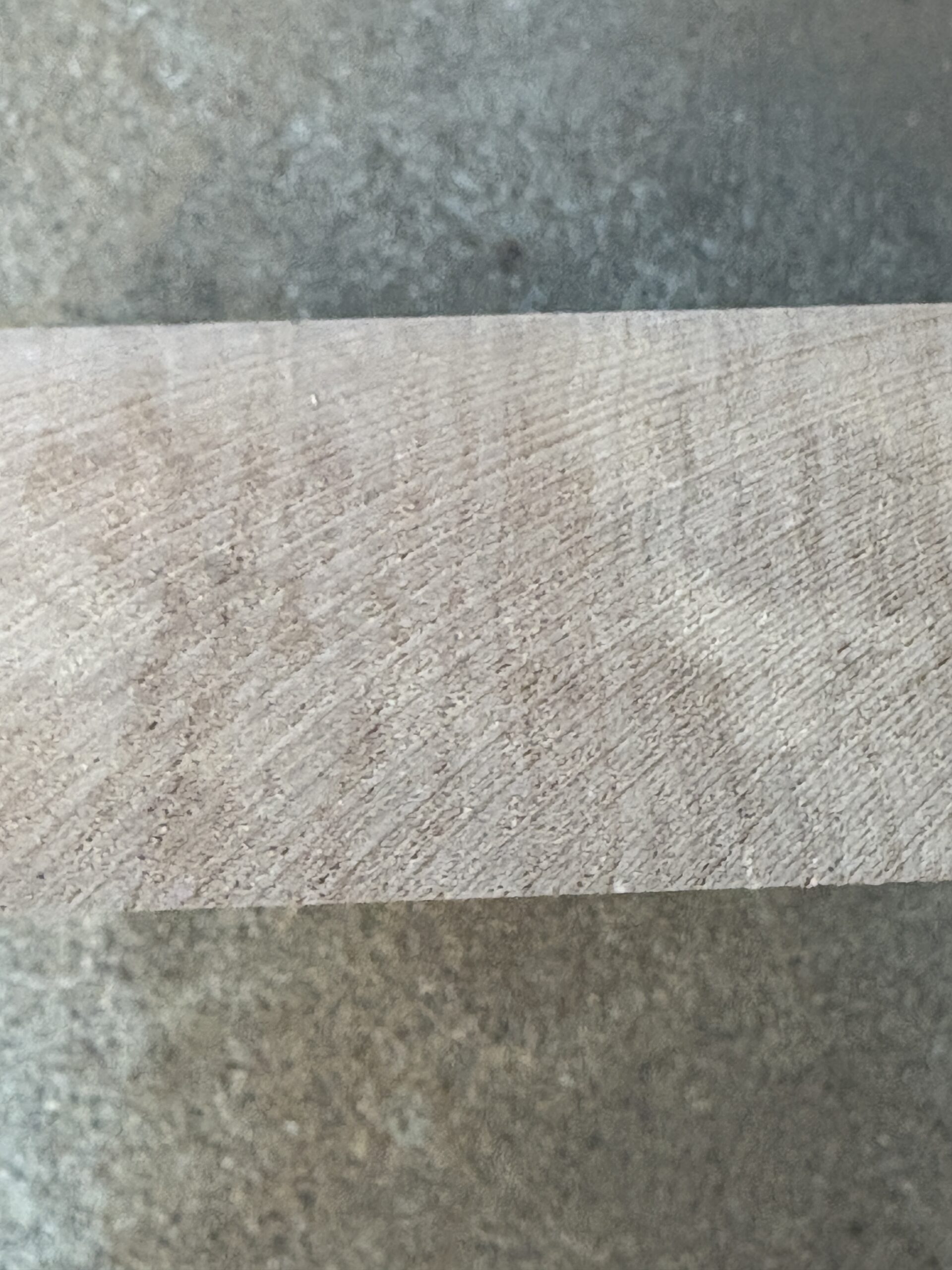 バッコウヤナギ